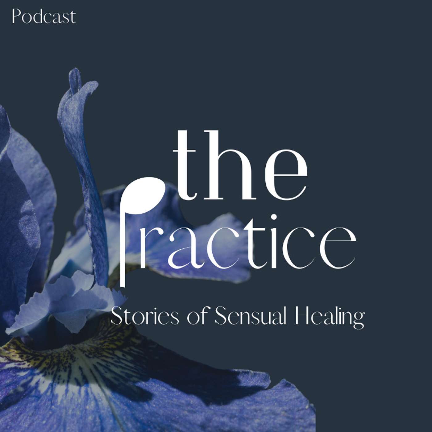 The Practice: Stories of Sensual Healing