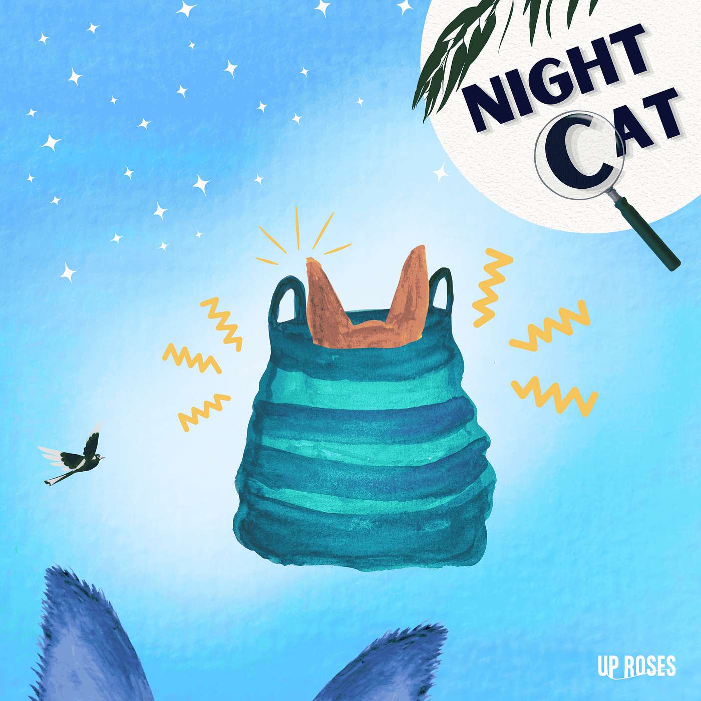 Night Cat: Series for Kids