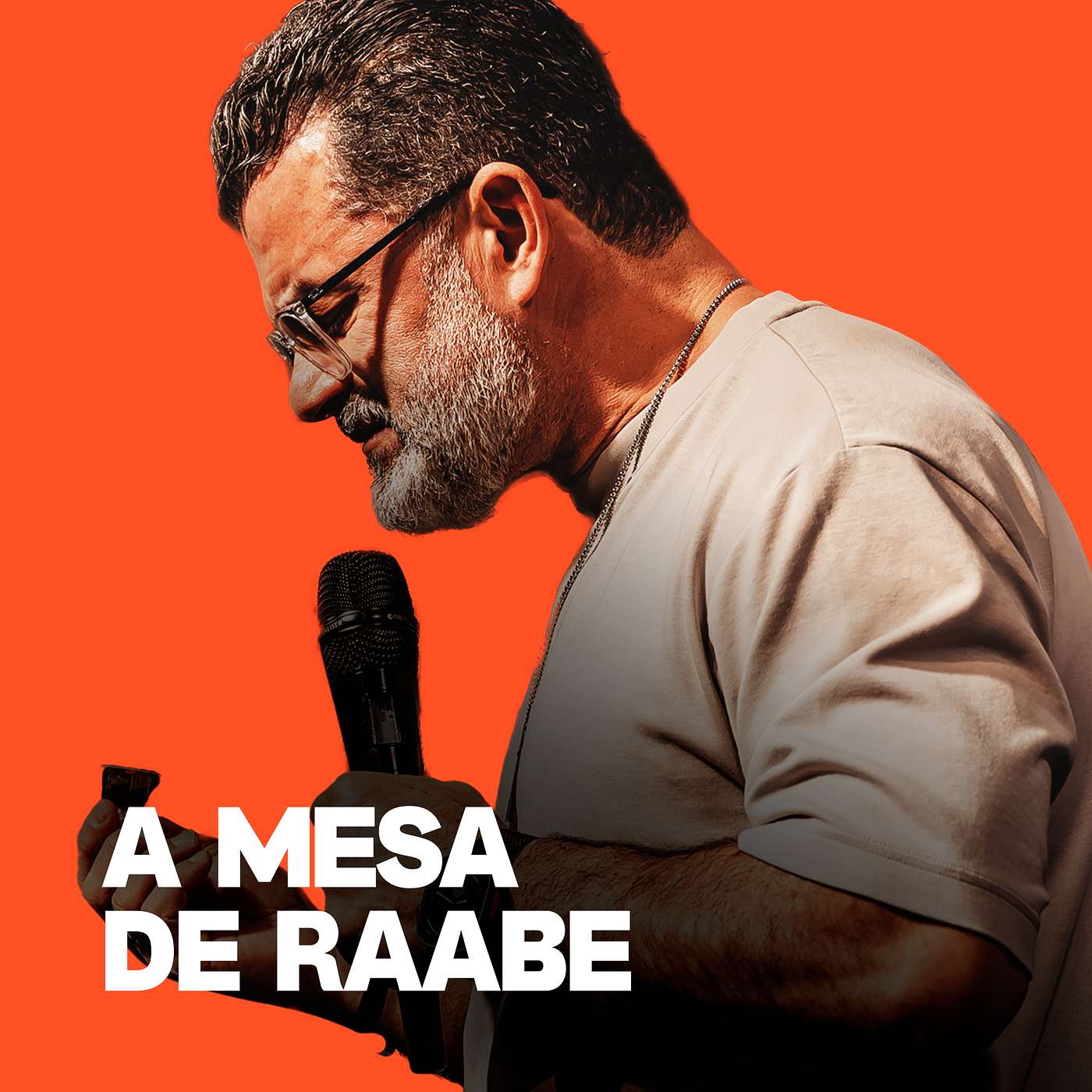 A MESA DE RAABE episode artwork