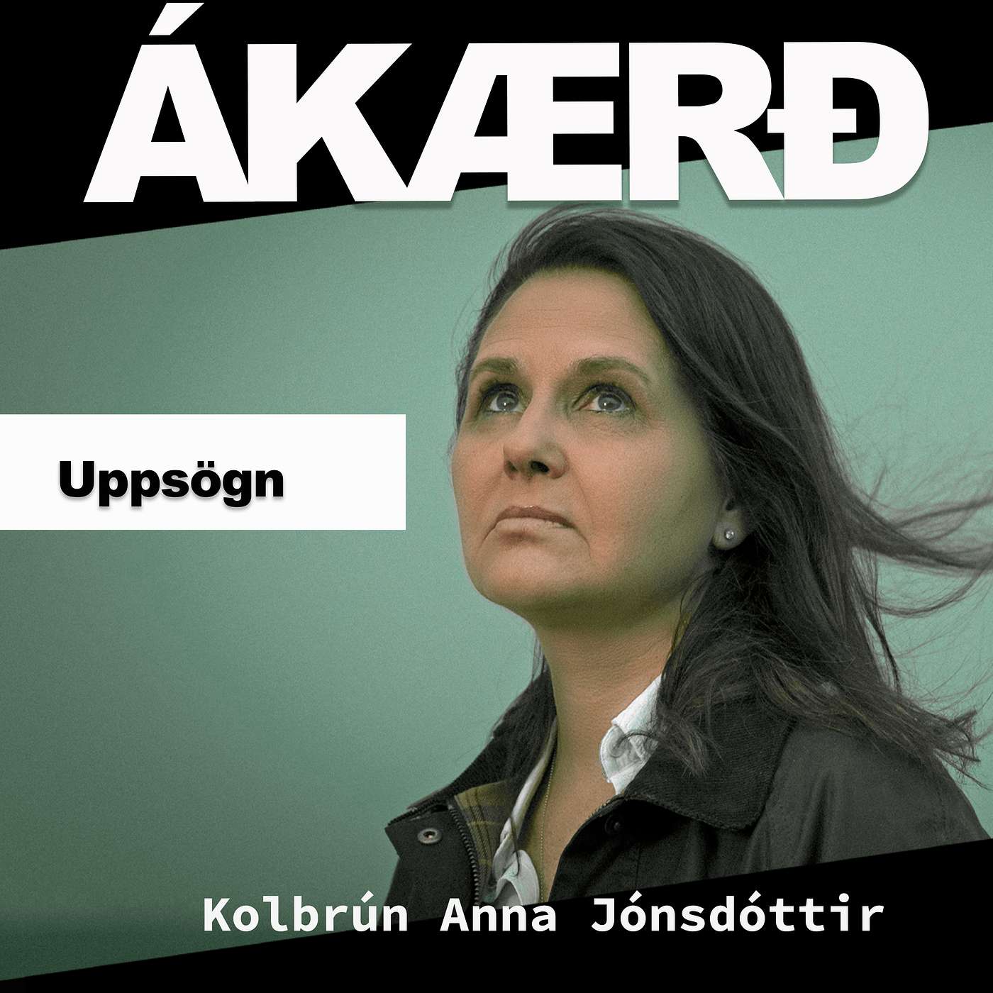 Ákærð
