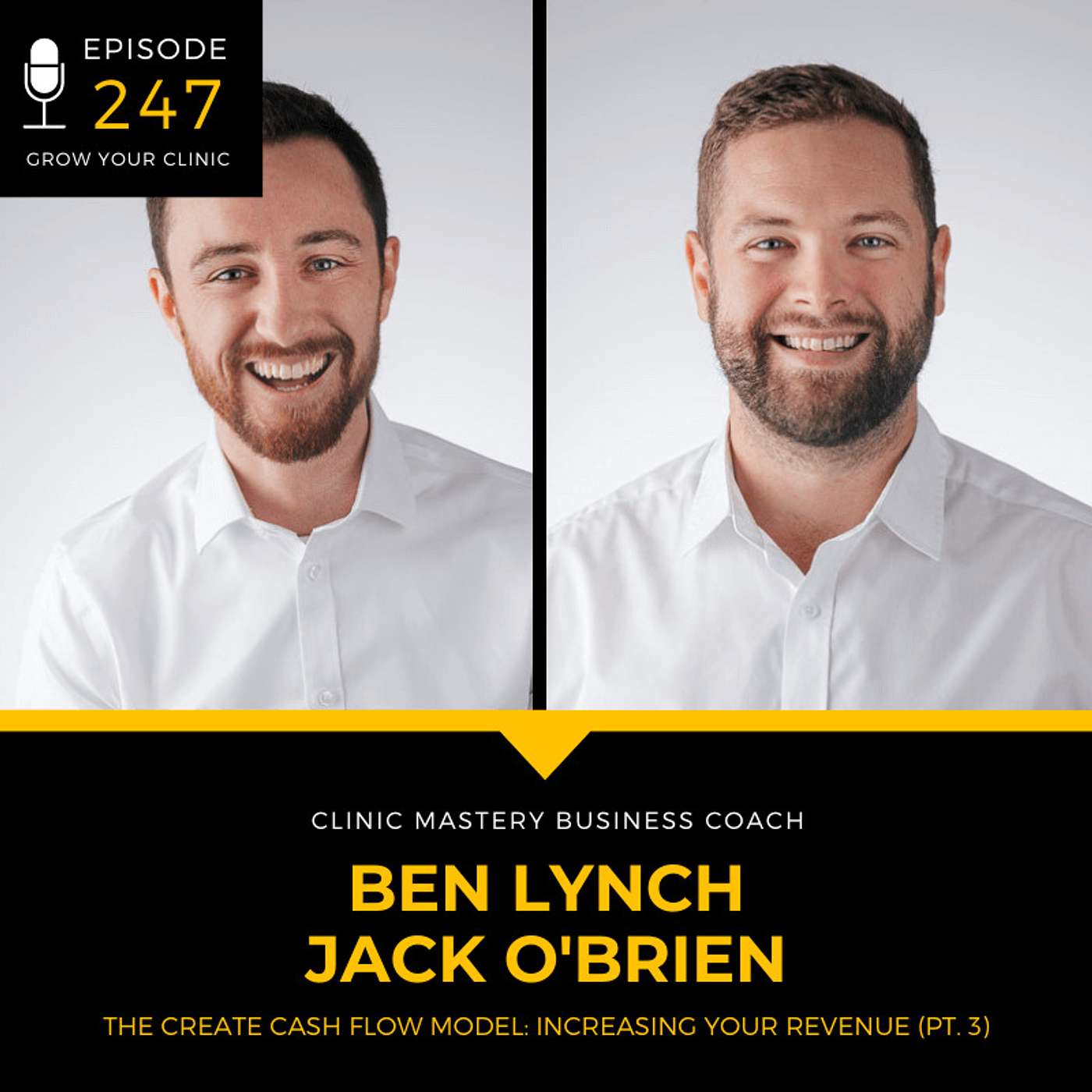 247 - The CREATE Cash Flow Model: Increasing Your Revenue (Pt. 3) episode artwork