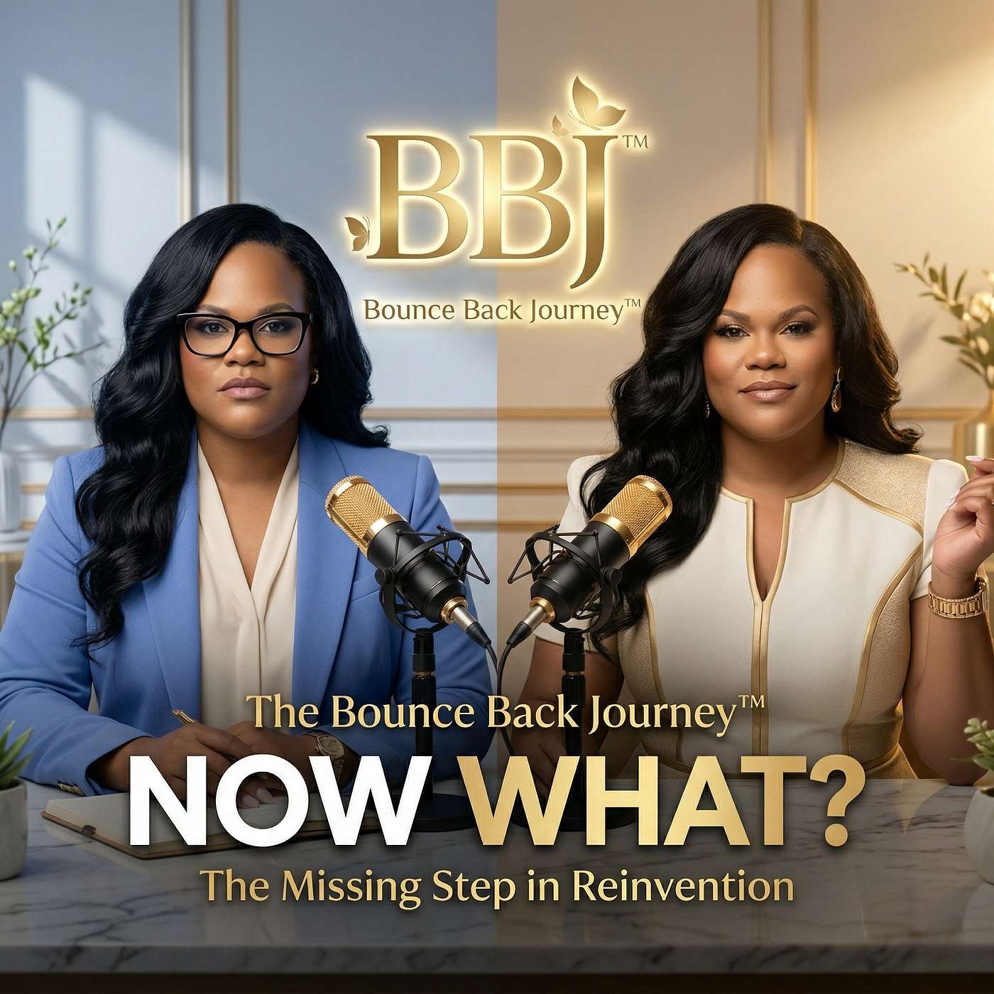You Have the Data—Now What? The Missing Step in Reinvention episode artwork
