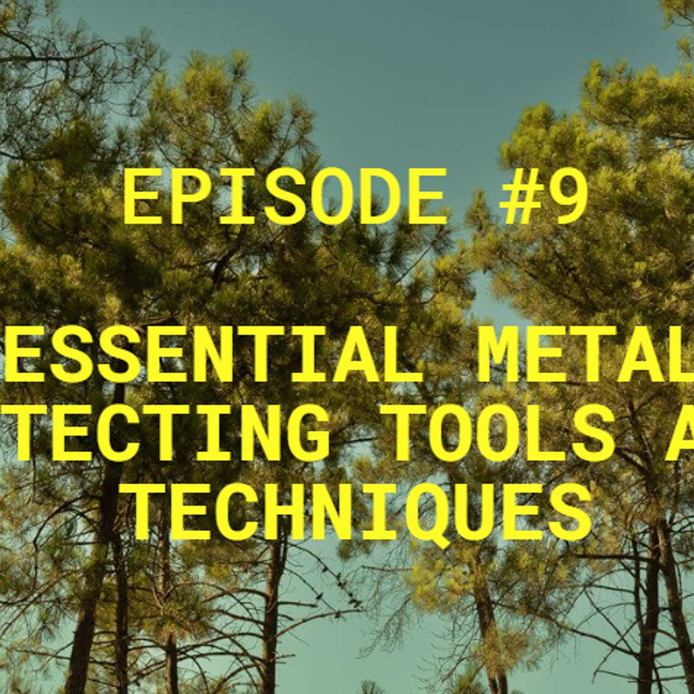 Essential Metal Detecting Tools and Techniques