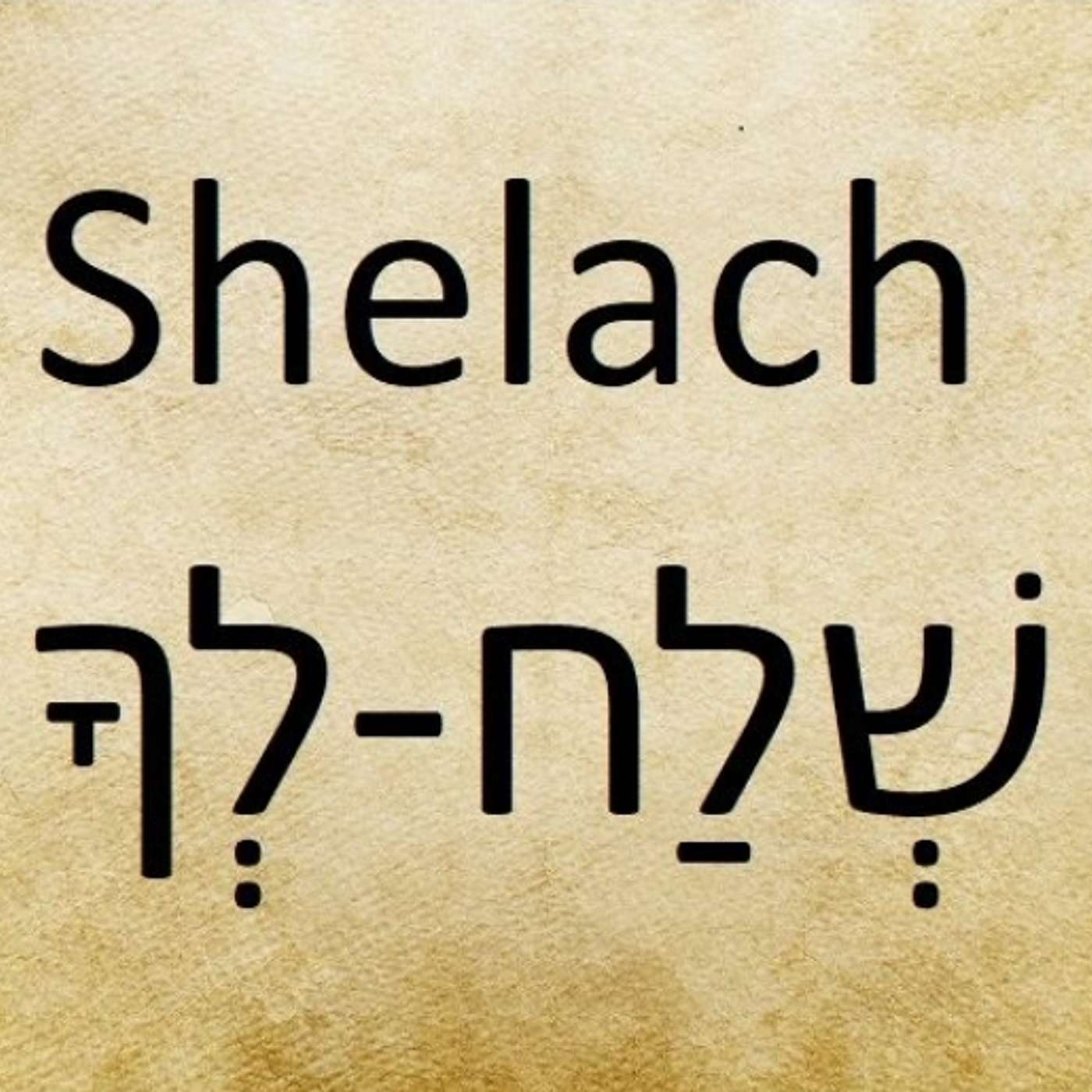 Parasha Sha'lach: Numbers 13:1-15:41