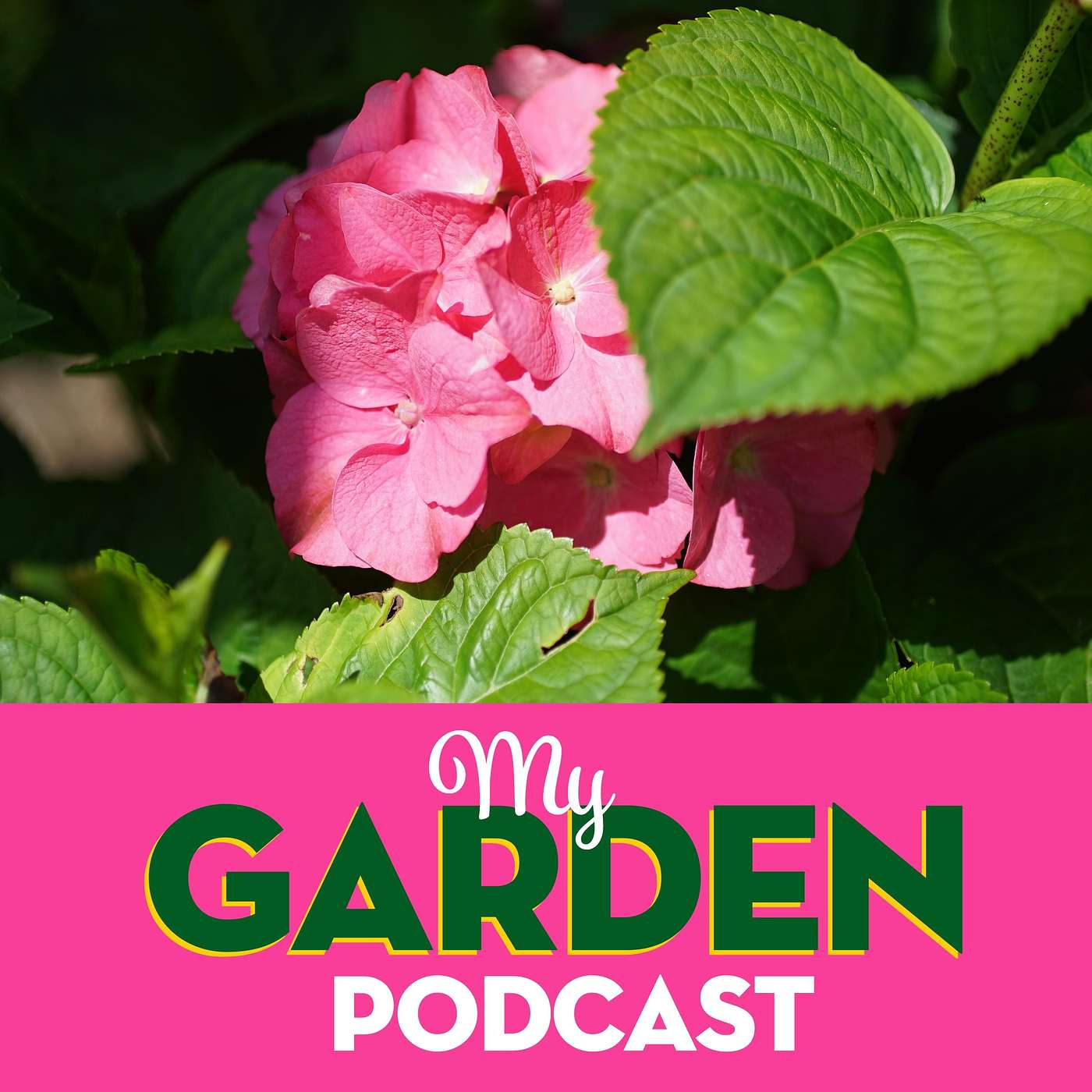 My Garden Podcast - Gardening Podcast