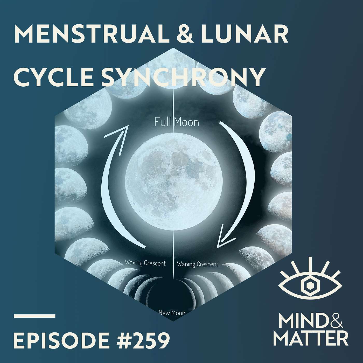 Menstrual & Lunar Cycle Synchrony, Circadian Rhythms | Charlotte Förster | 259