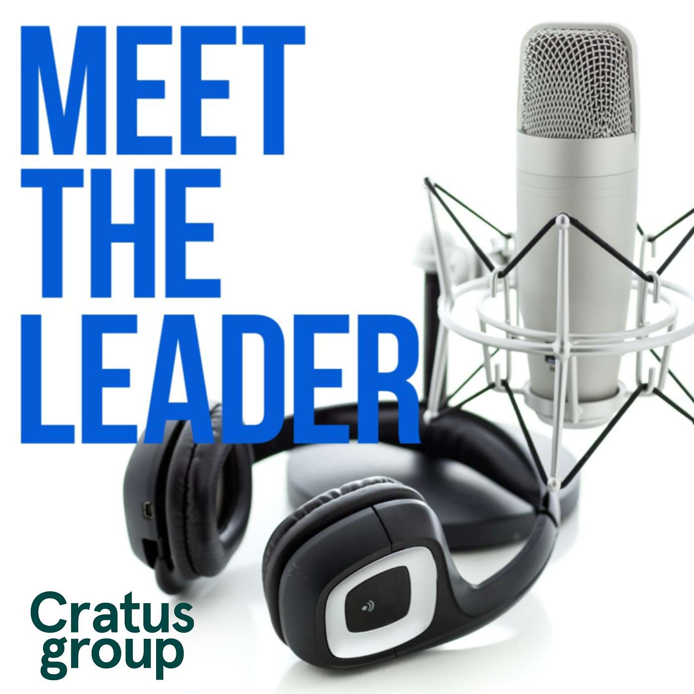 Meet The Leader