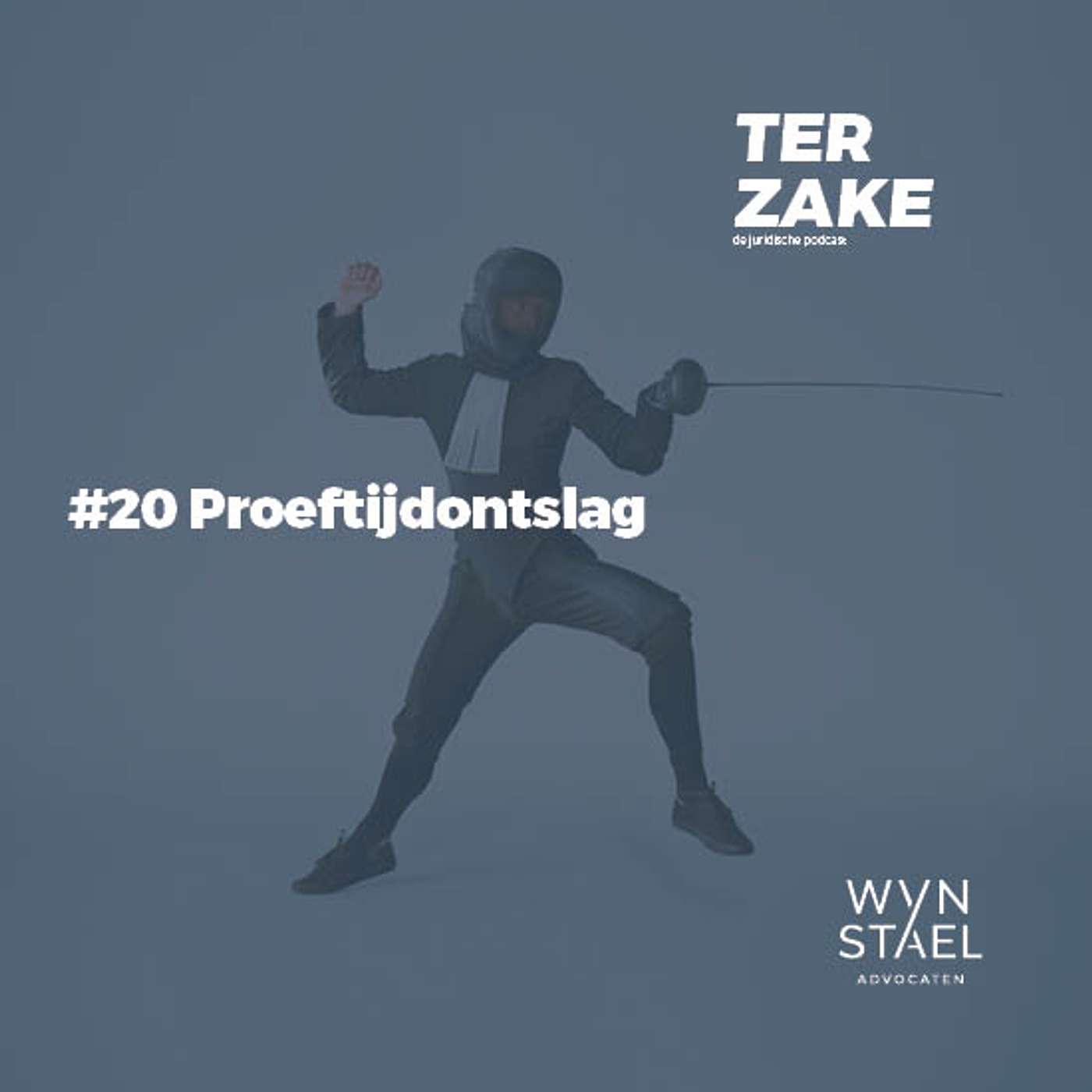 #20 Proeftijdontslag