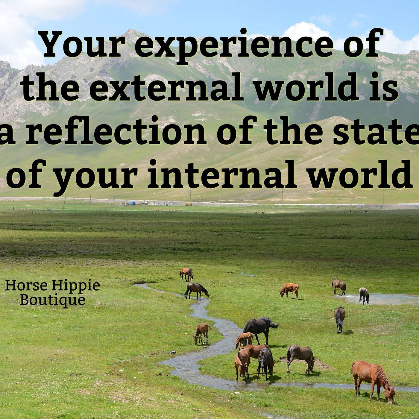 Let Life Be What It Is