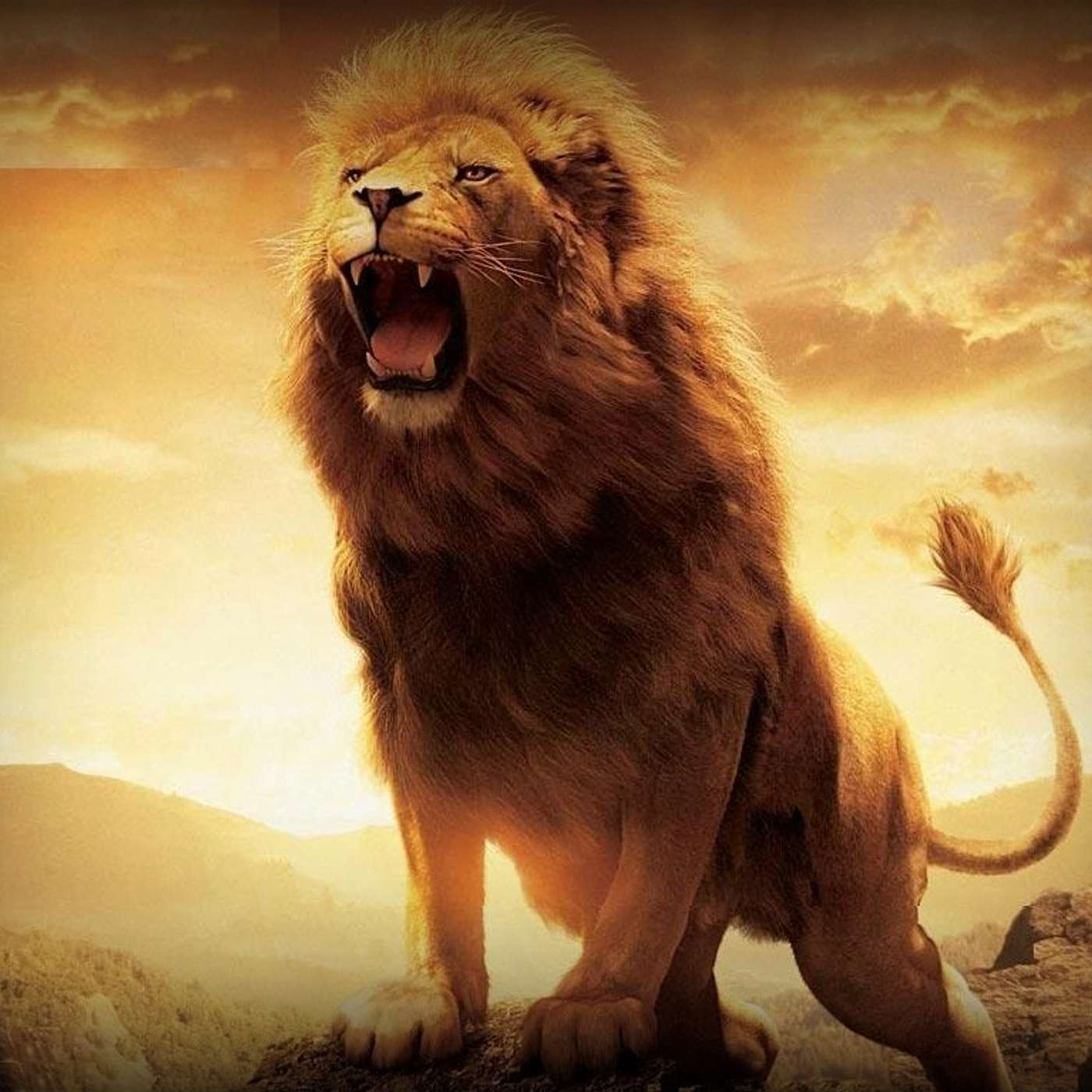 Episode 976 - Like A Lion!