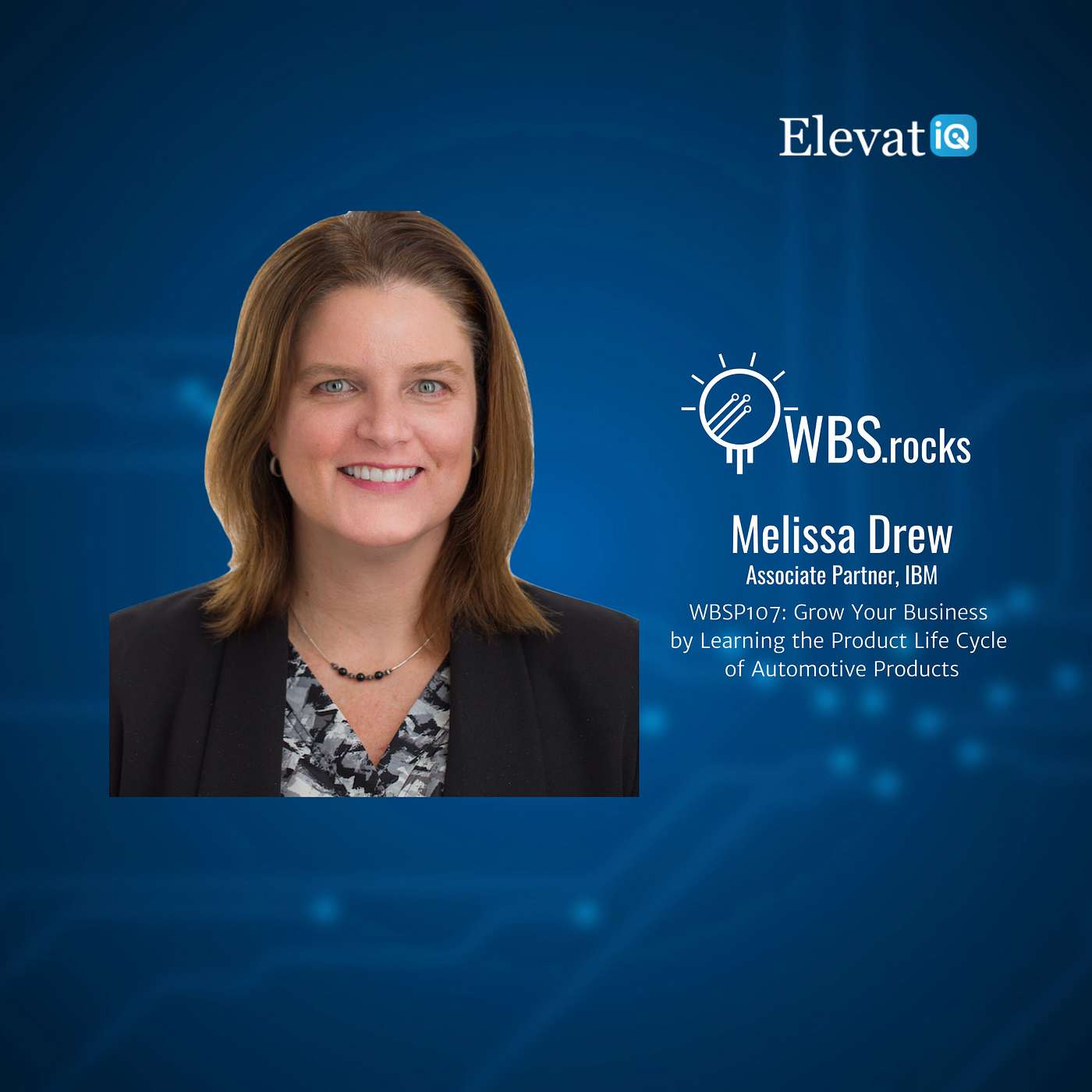 WBSP107: Grow Your Business by Learning the Product Life Cycle of Automotive Products w/ Melissa Drew