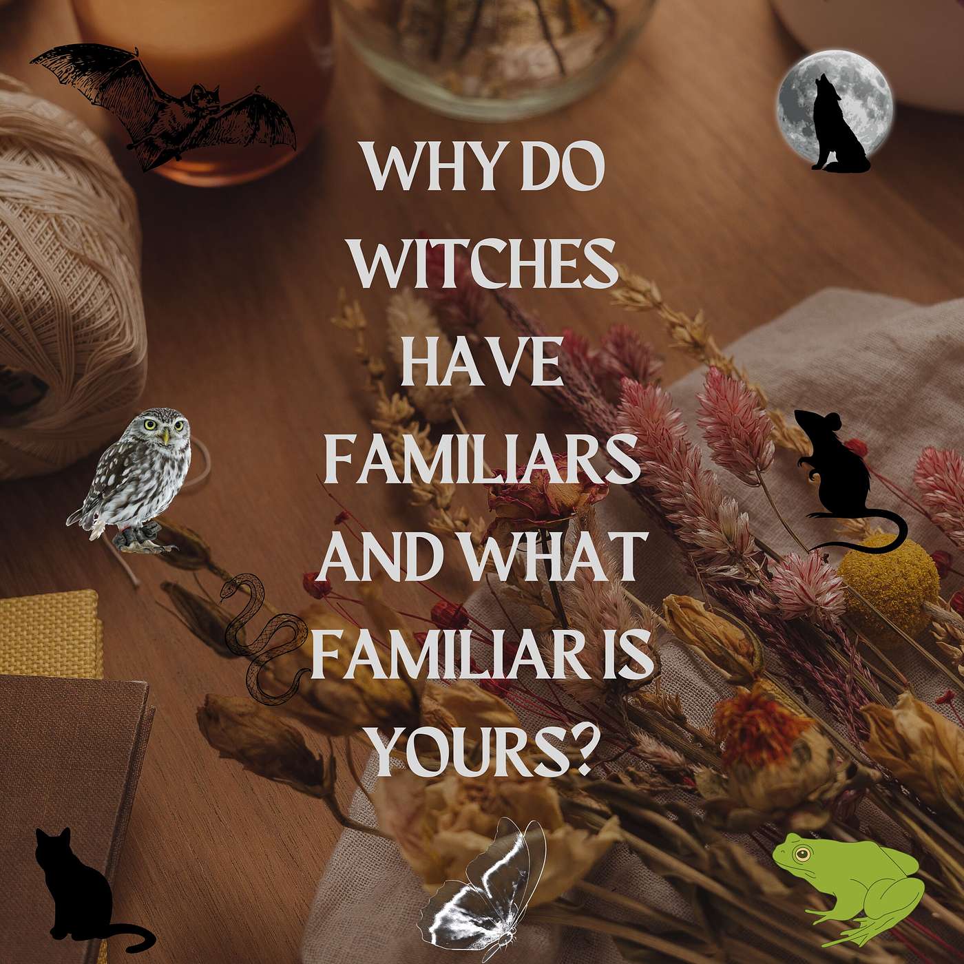 Why Do Witches have Familiars and what Familiar is Yours? episode artwork