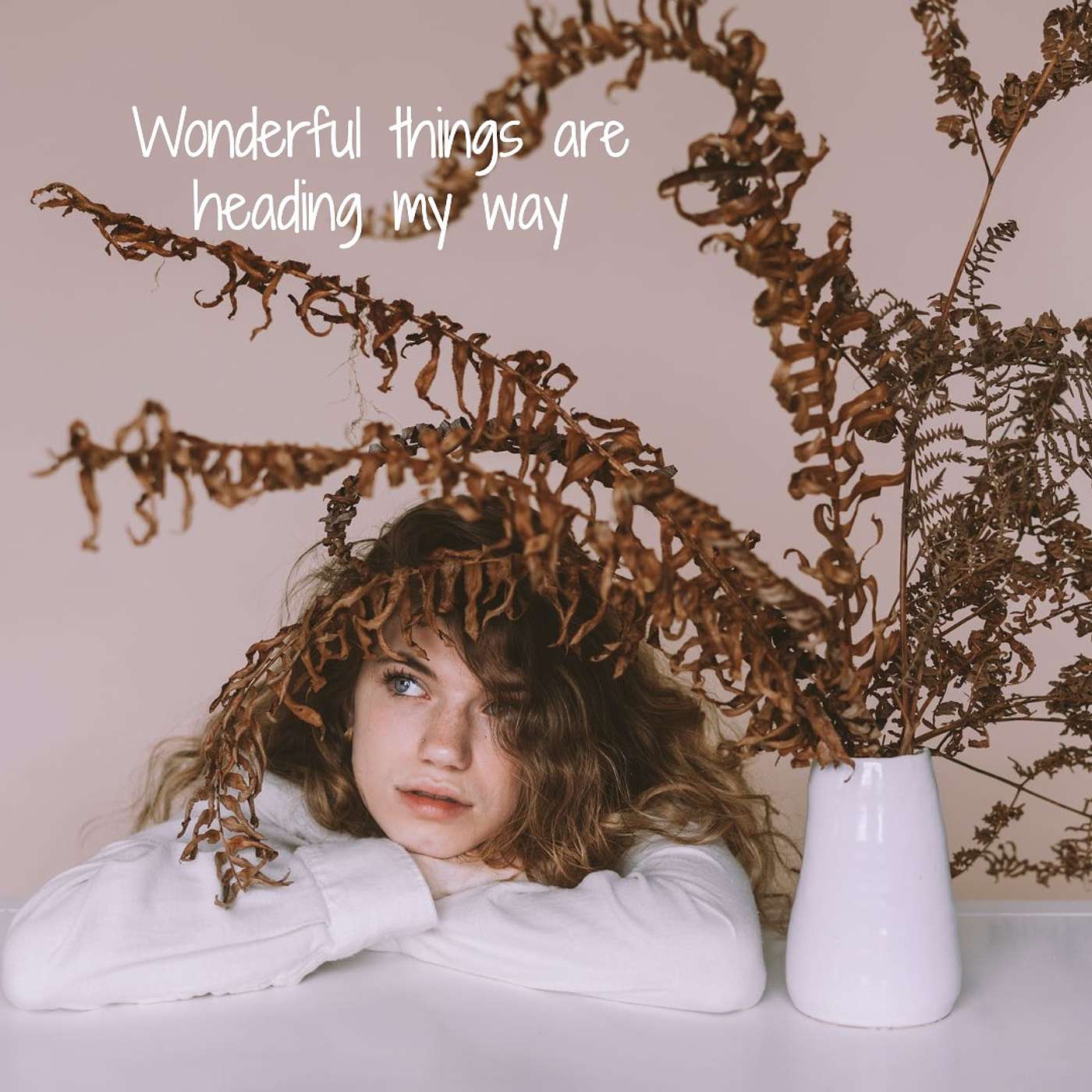 #323 Wonderful things are heading my way episode artwork