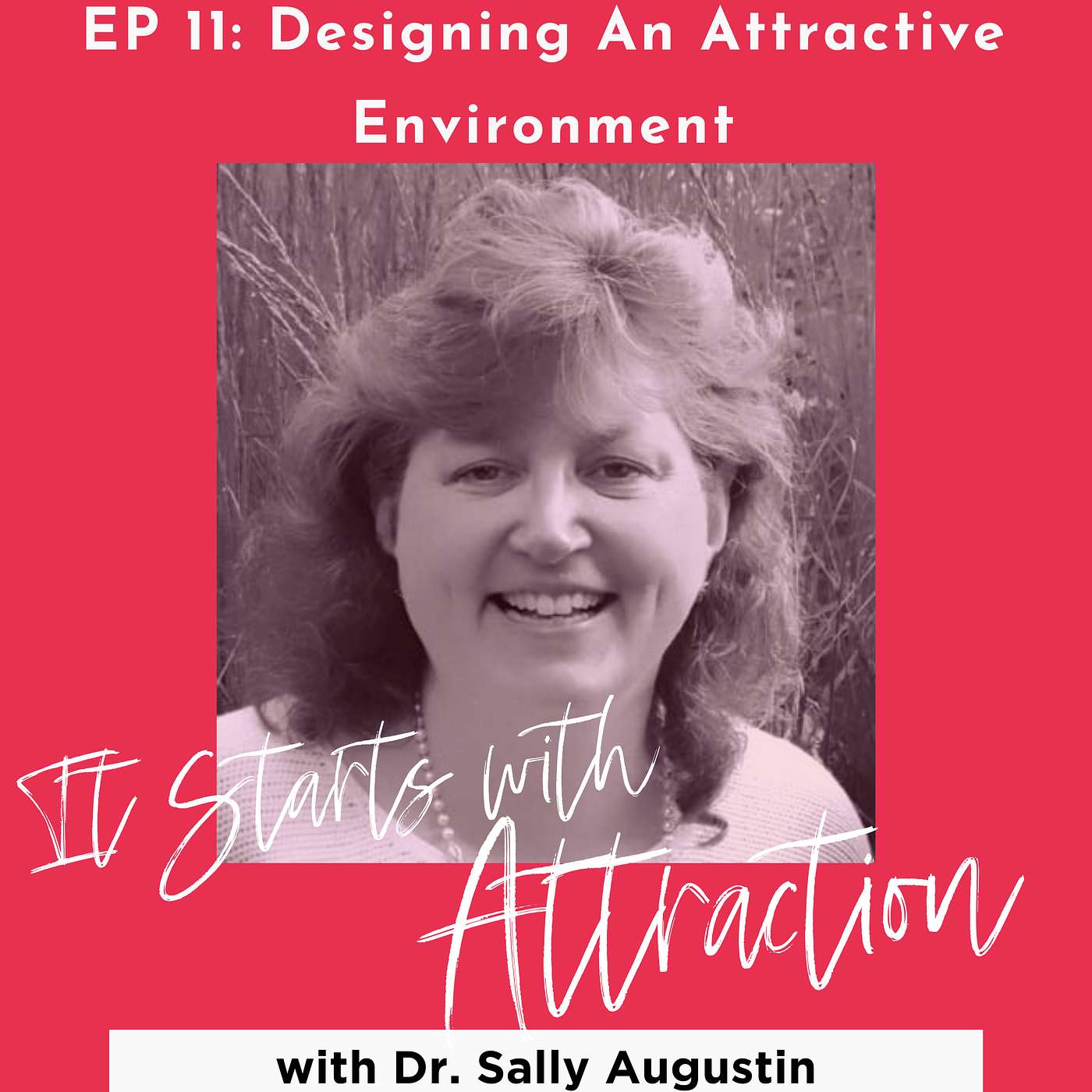 Designing an Attractive Environment with Dr. Sally Augustin