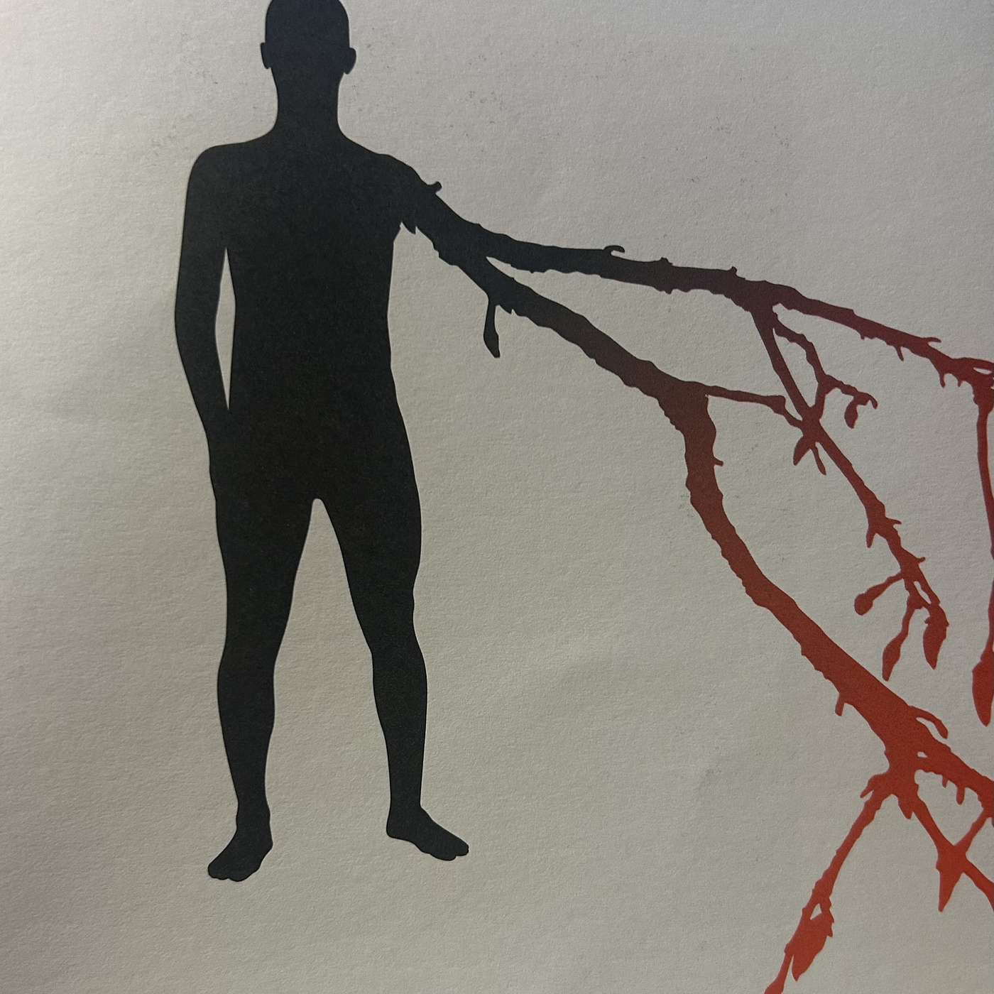 🇫🇷 Episode 23 - Dans un rêve