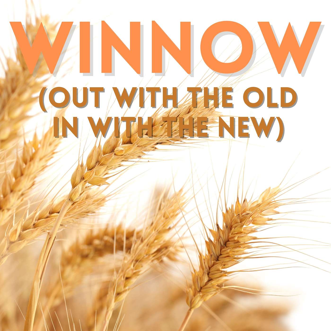 Winnow episode artwork