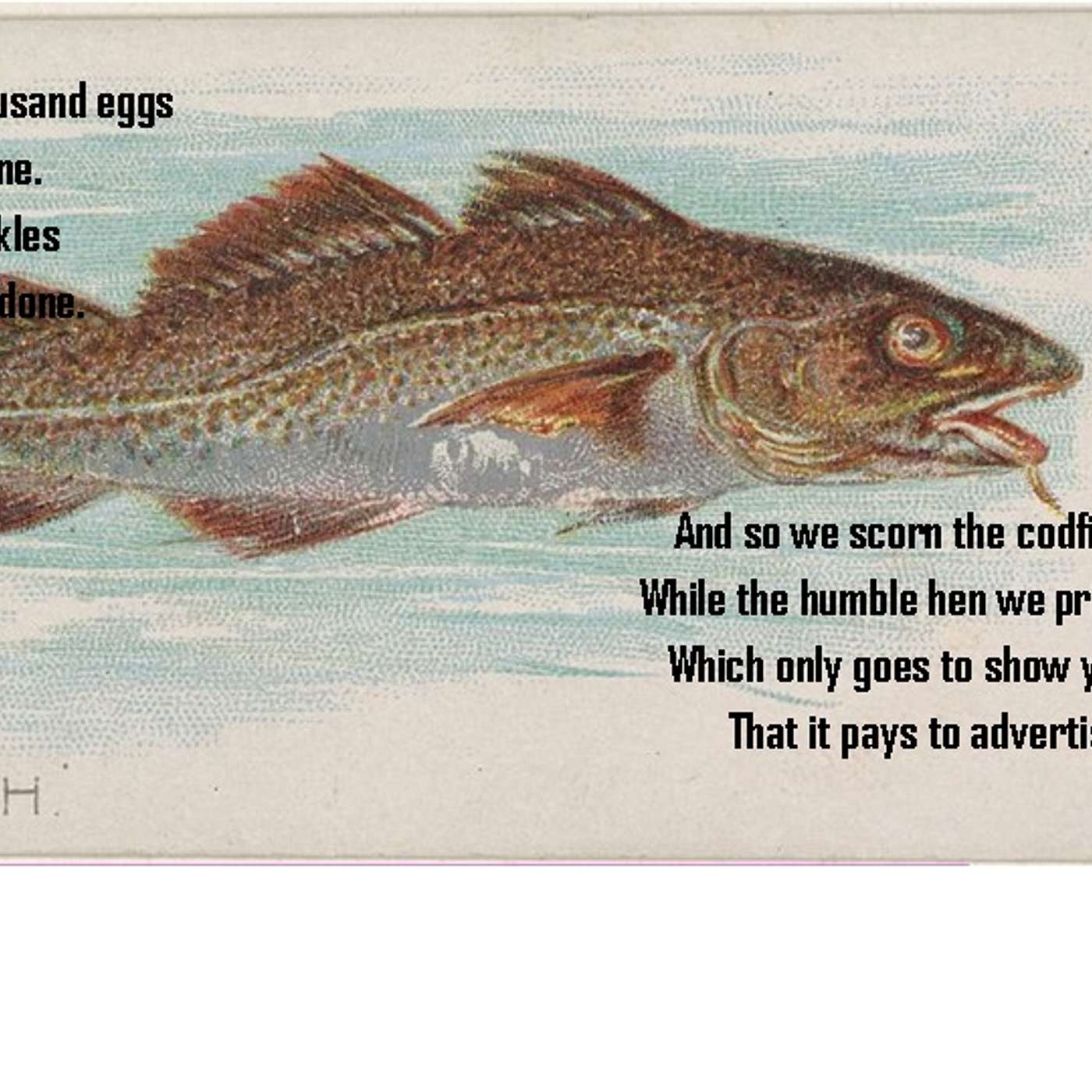 FISH: Fish sandwiches. 
