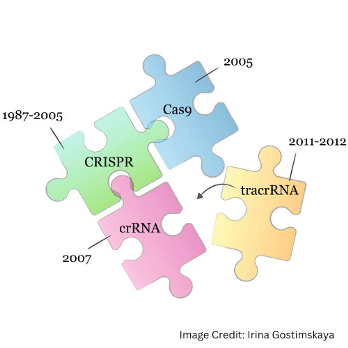 Discovery, Development, and Cures - The CRISPR Saga