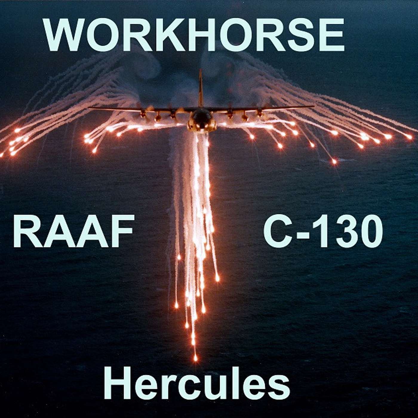 Workhorse - RAAF C-130s