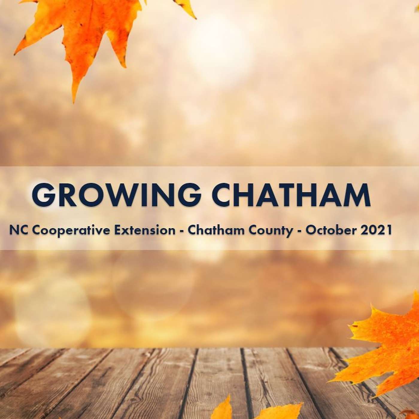 Growing Chatham October 2021 Edition episode artwork