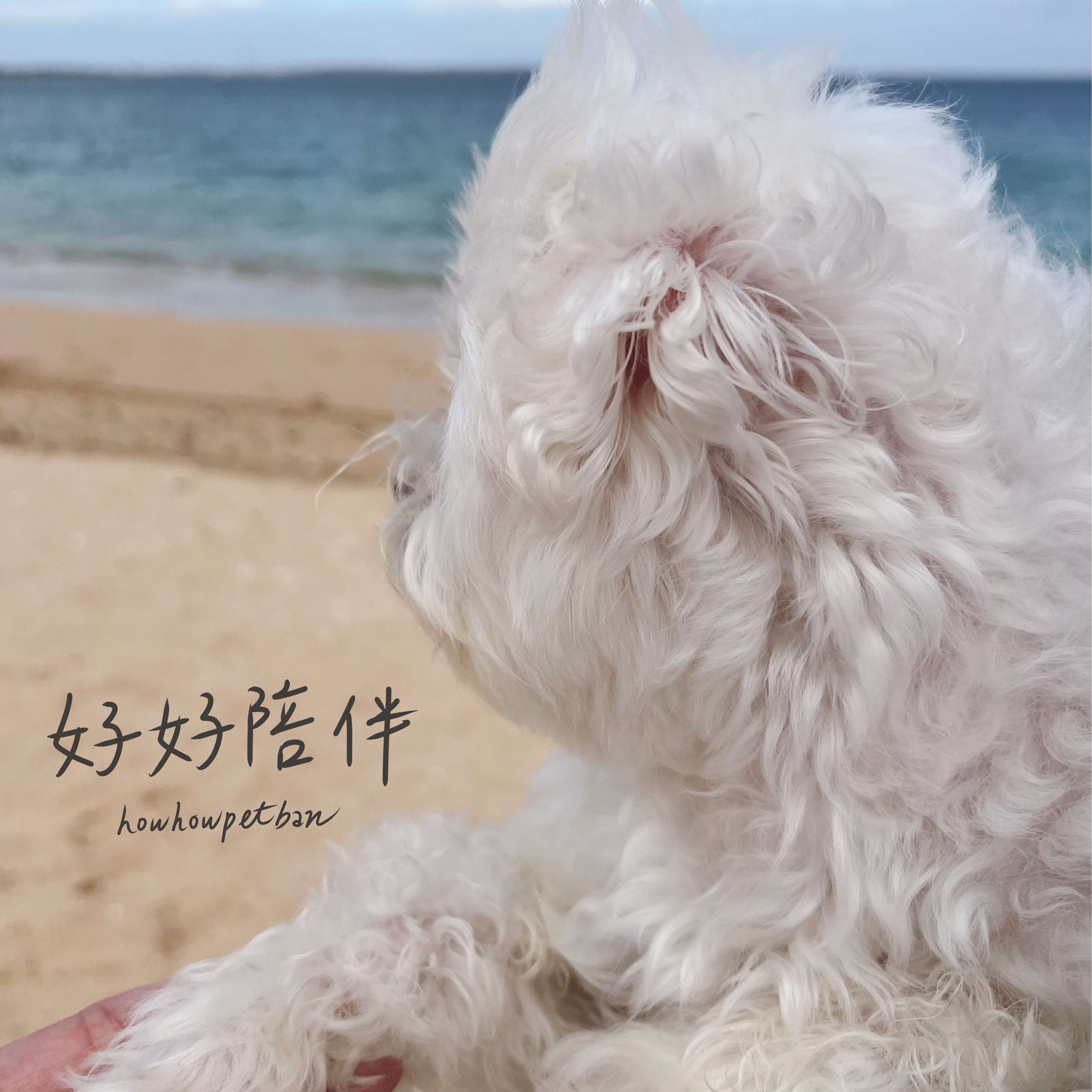 好好陪伴