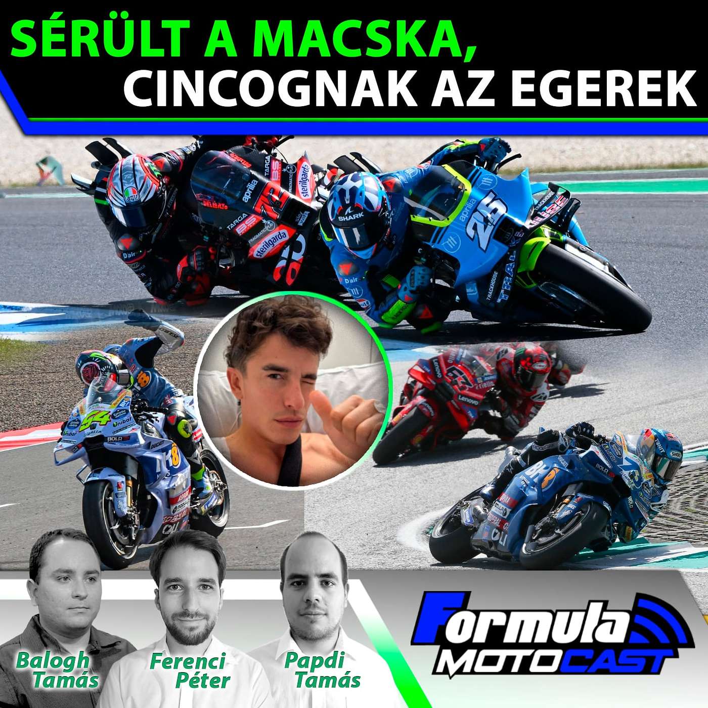 S05EP17 – Sérült a macska, cincognak az egerek