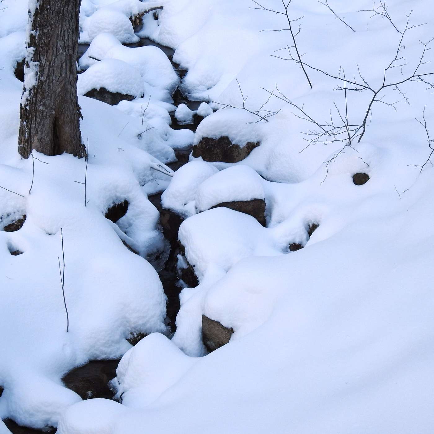THE SOFT SIDE OF WINTER