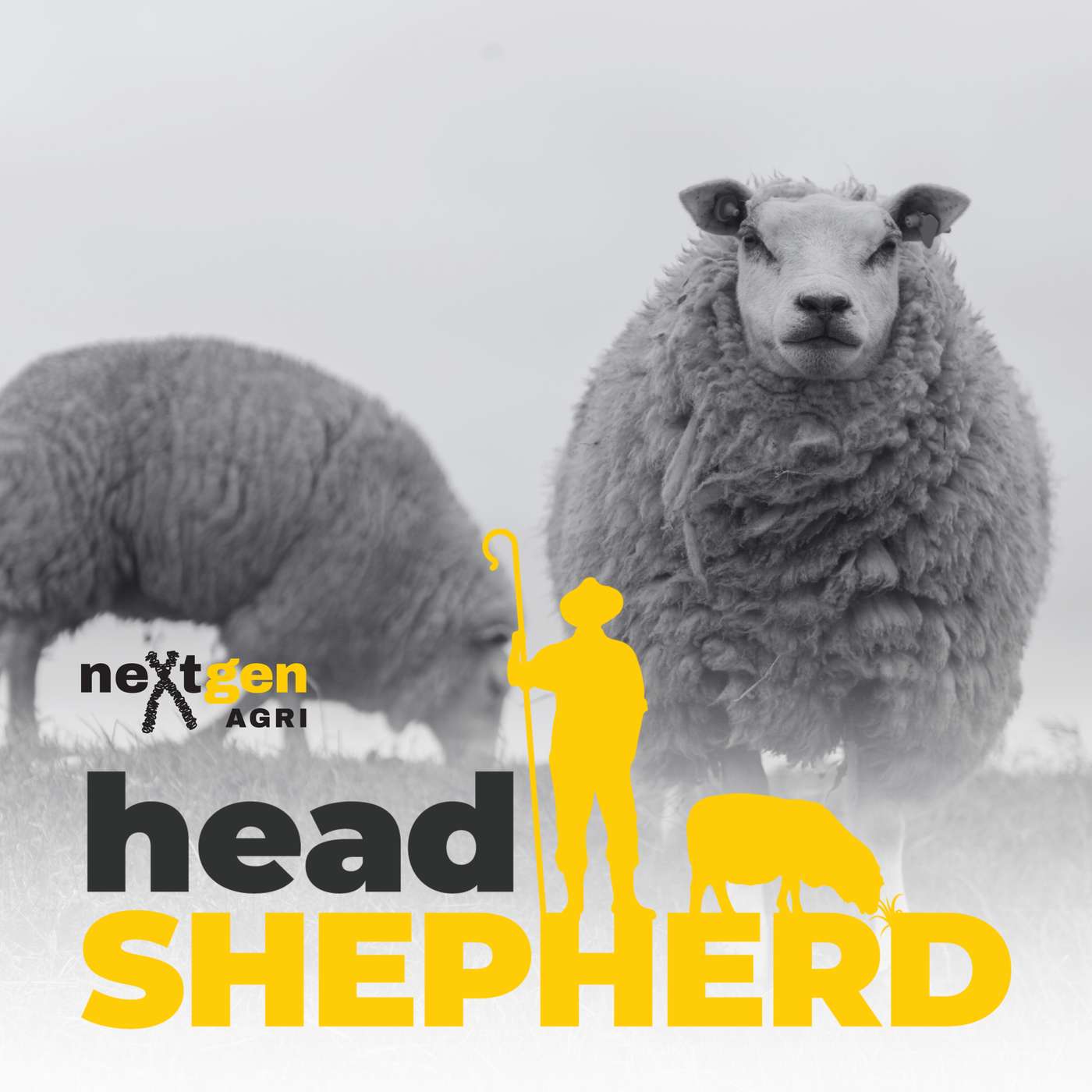 The changing role of breed societies with John Yates