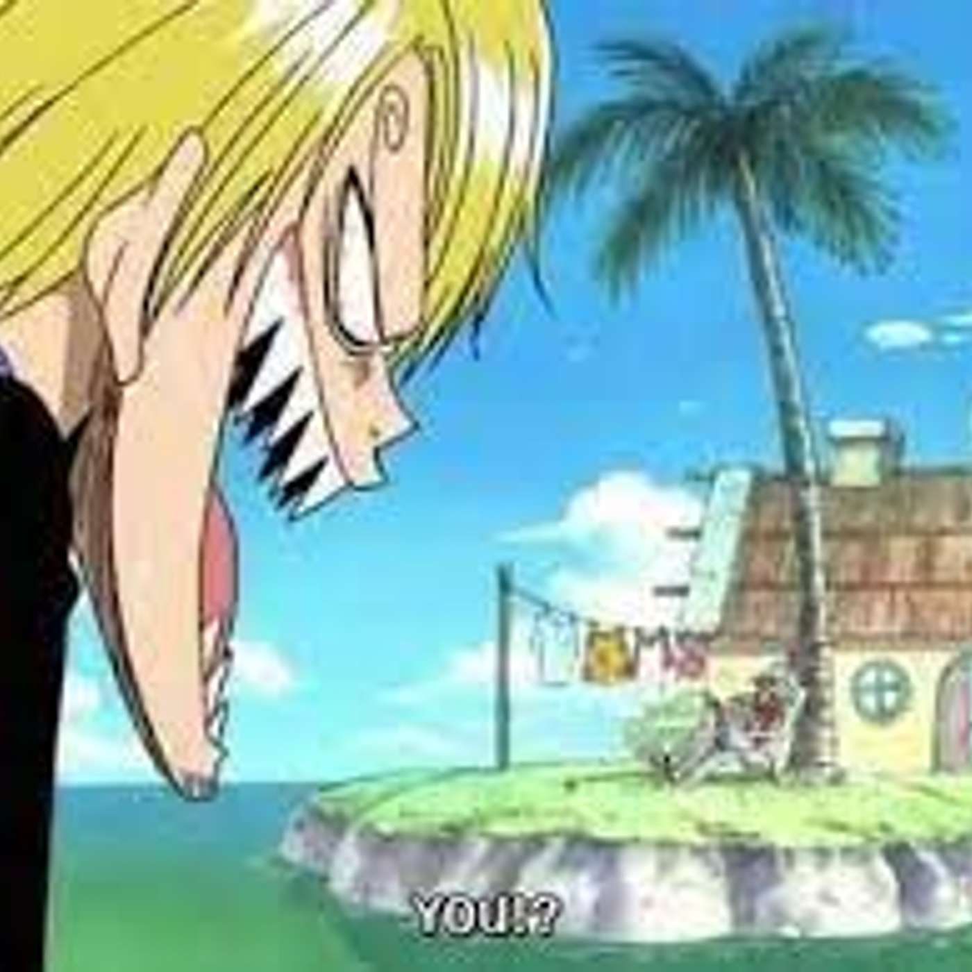 The Anime Chop Shop