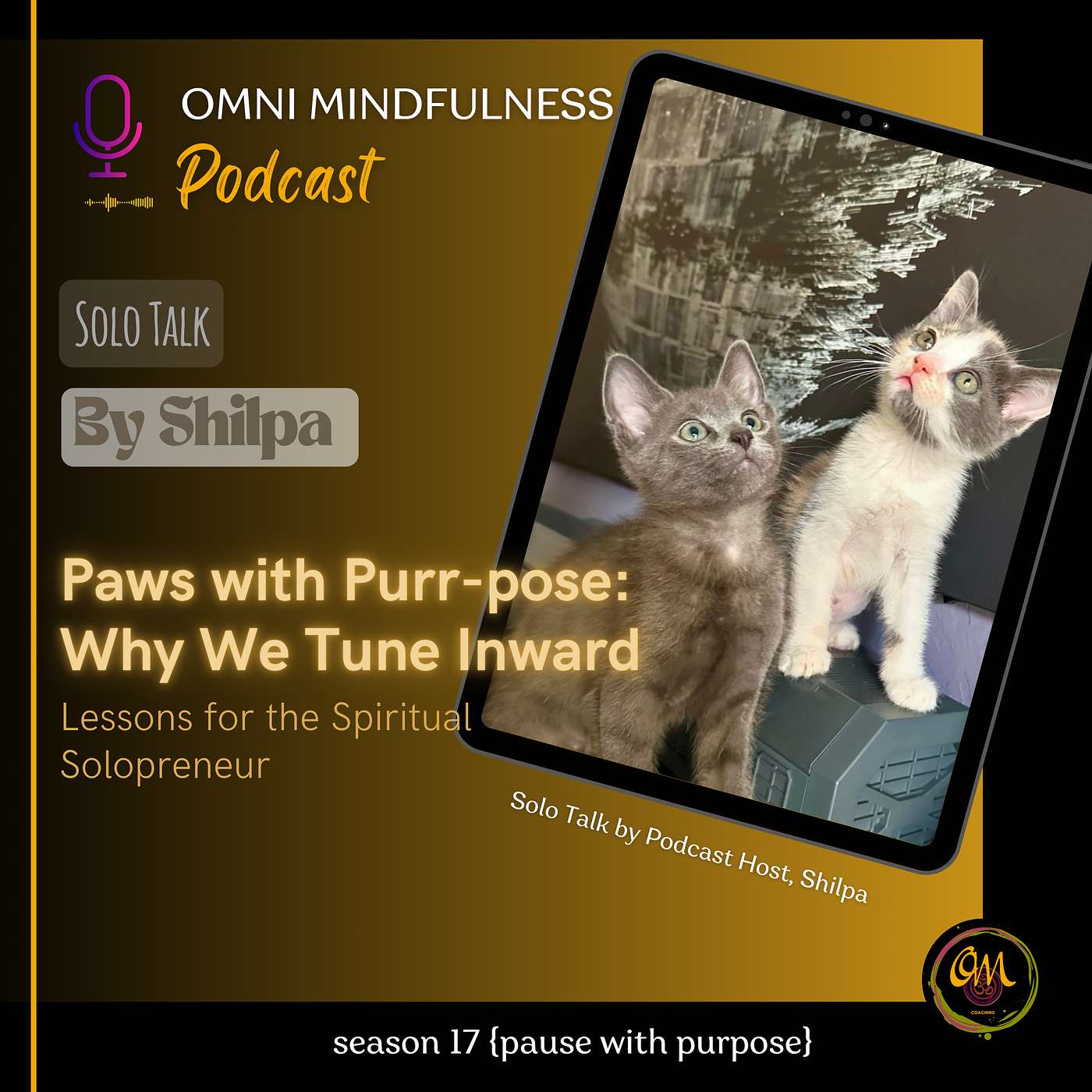 Paws with Purr-pose: Why We Tune Inward. A Solo Talk by Podcast Host, Shilpa (Epi. 235) Paws with Purr-pose: Why We Tune Inward. A Solo Talk by Podcast Host, Shilpa (Epi. 235)