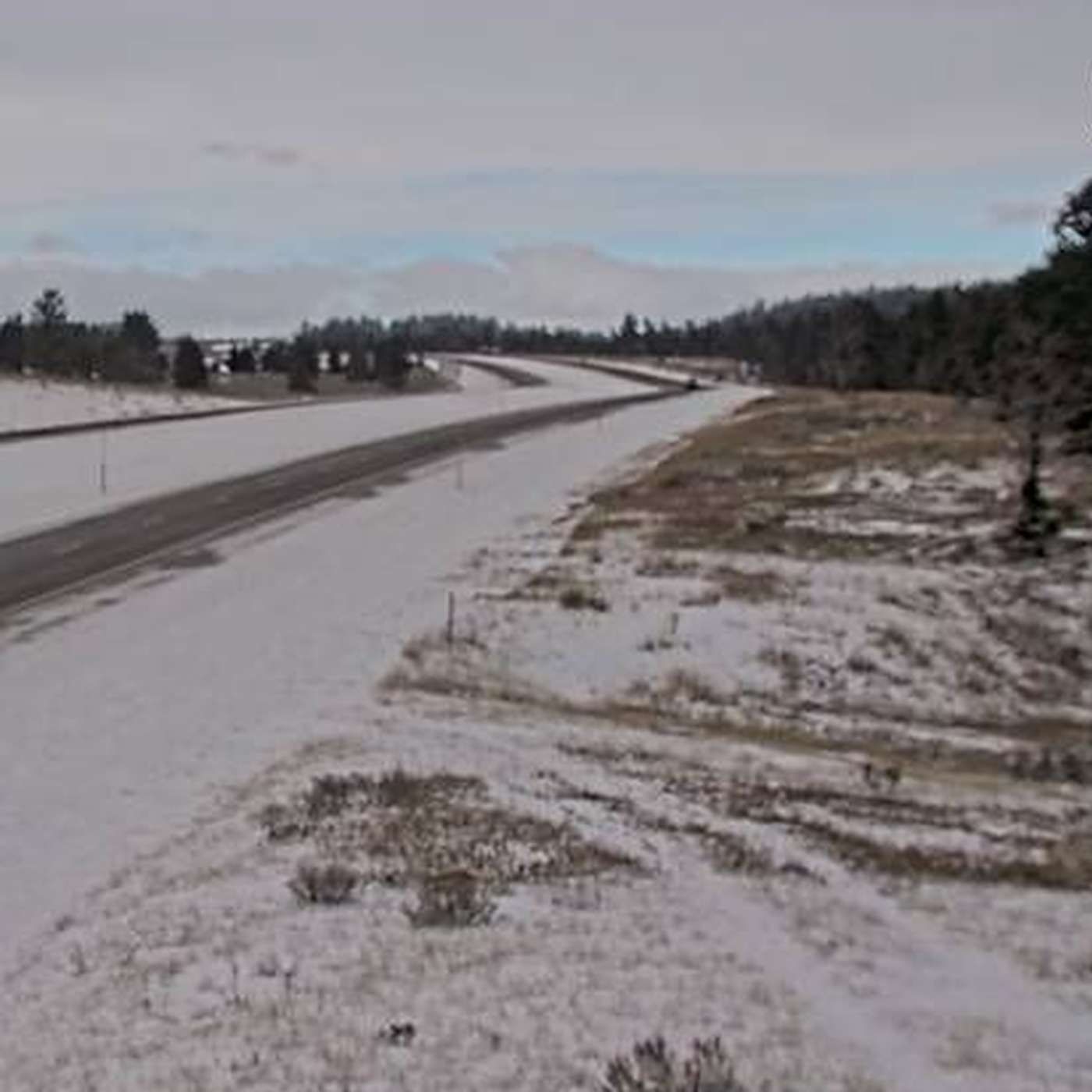 The Neal Larson Show