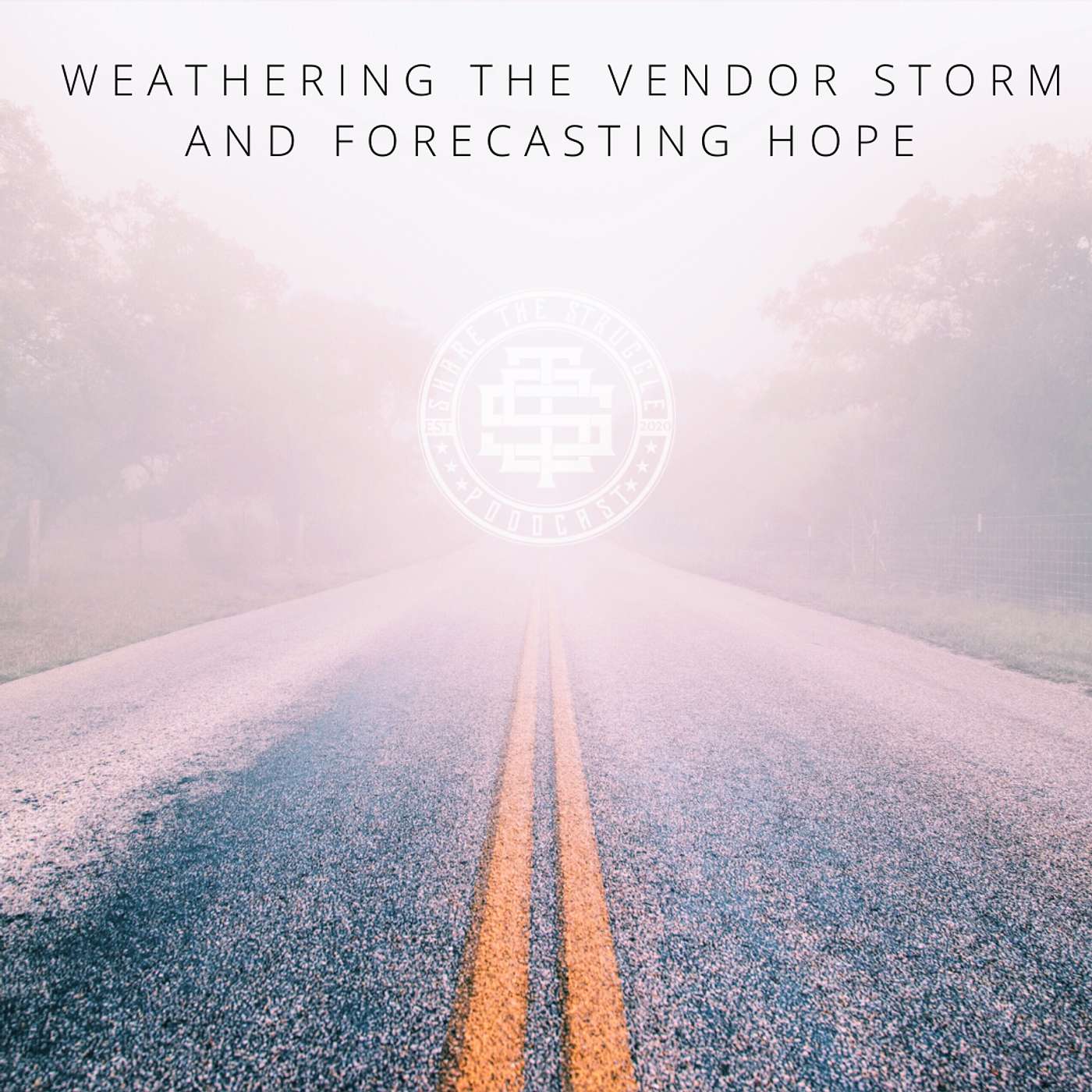 Weathering The Vendor Storm And Forecasting hope