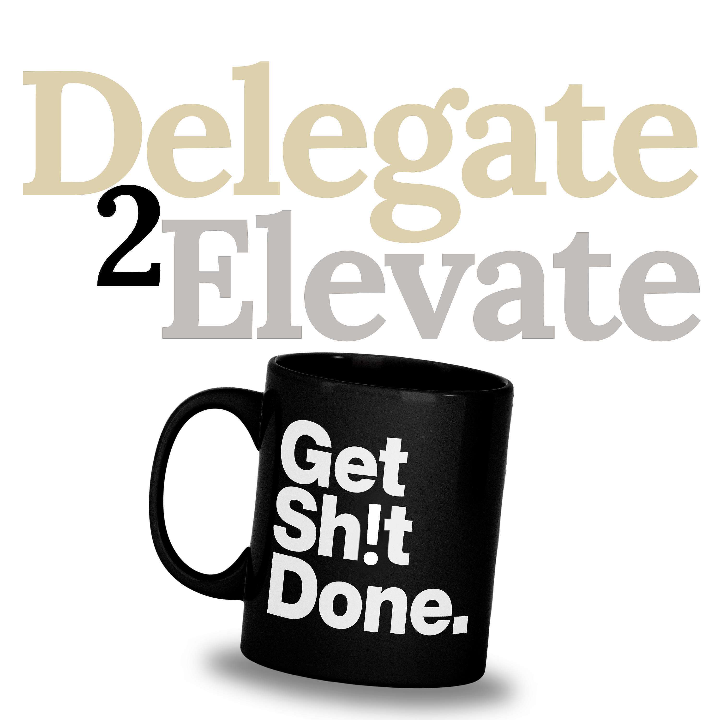 Delegate 2 Elevate – Get Sh!t Done
