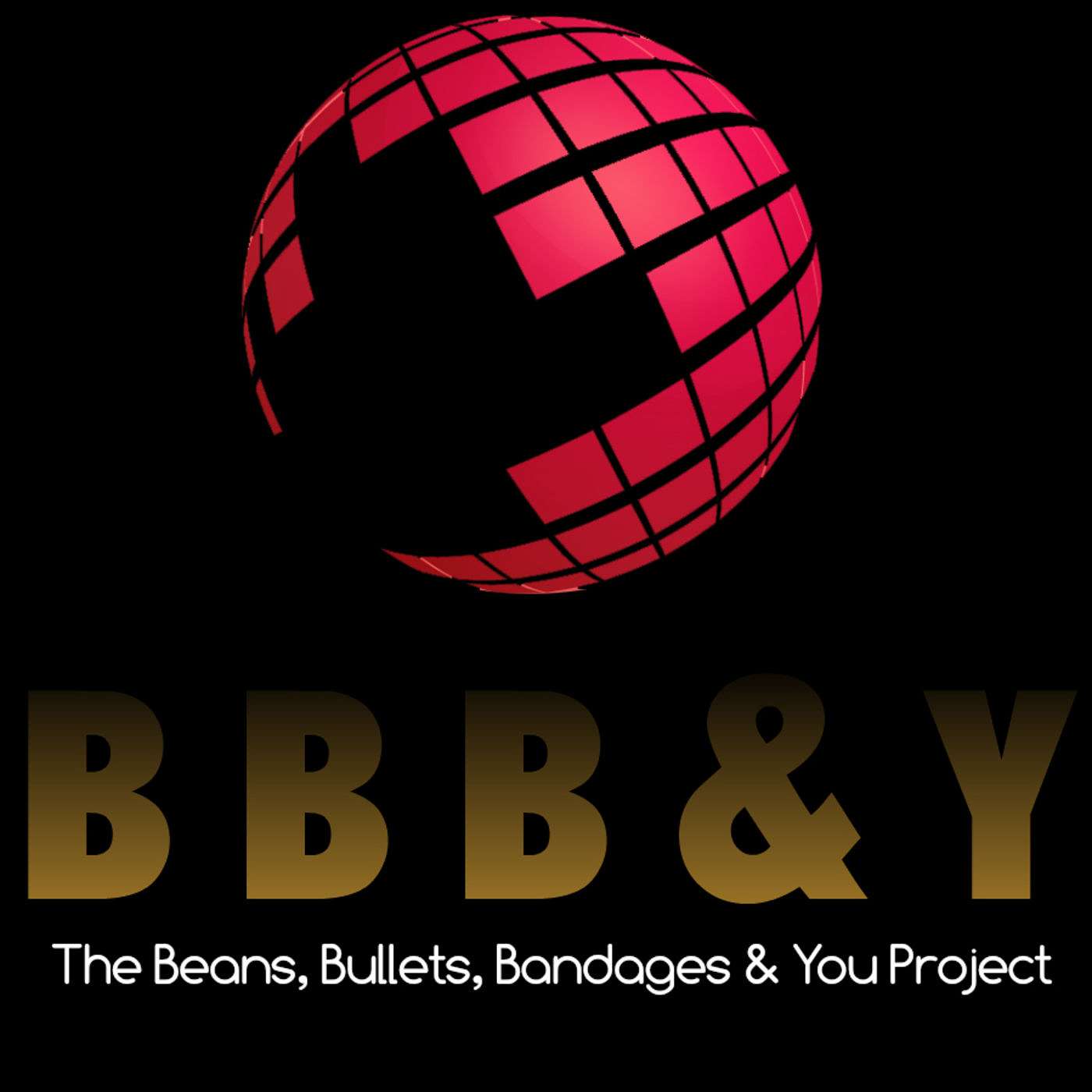 Episode 1: A Brief Introduction to the Beans, Bullets, Bandages & You project