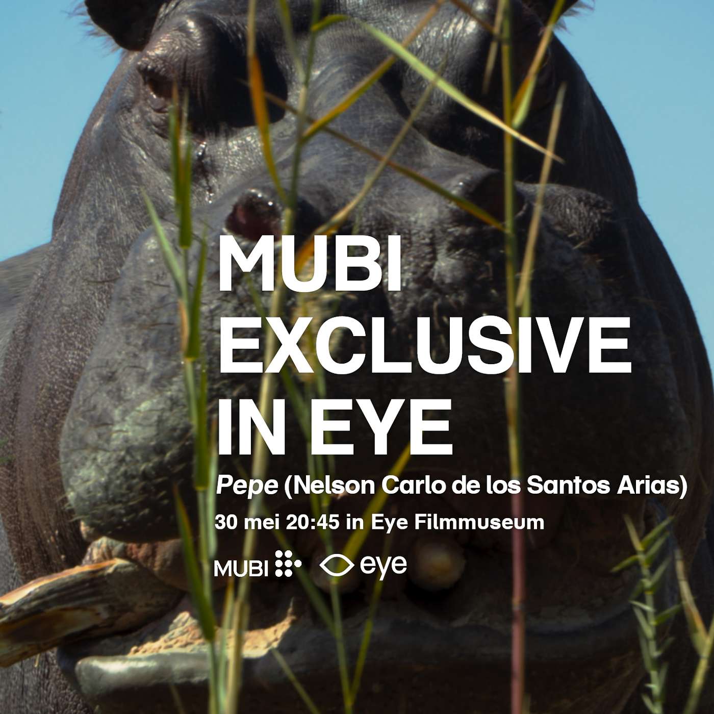 Eye Filmmuseum