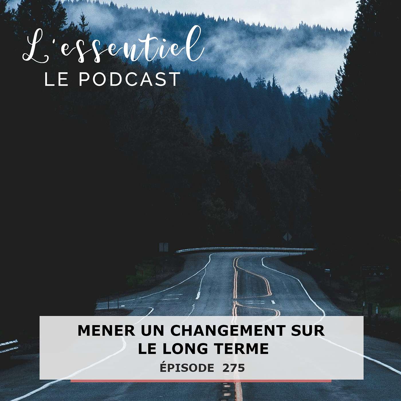 Ep #275 : Mener un changement sur le long terme