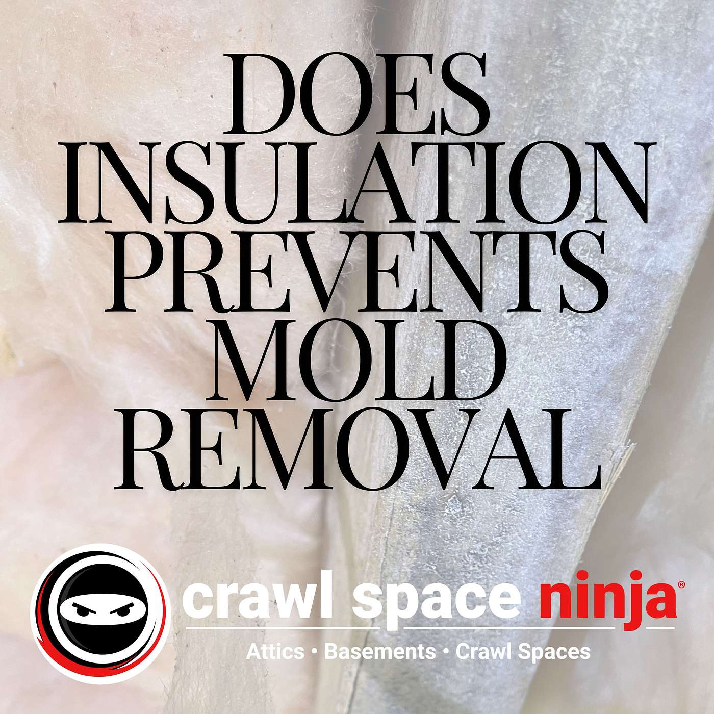 Why Ignoring Insulation Removal Hampers Effective Mold Treatment: Insights from Crawl Space Ninja