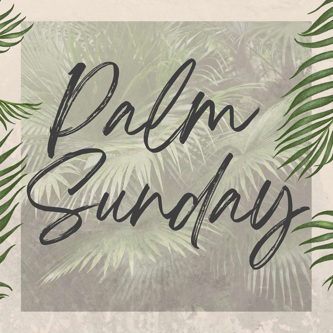 Palm Sunday: A Heart of a King