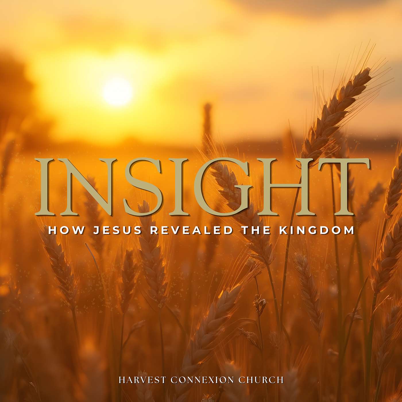 Insight Pt. 5 episode artwork
