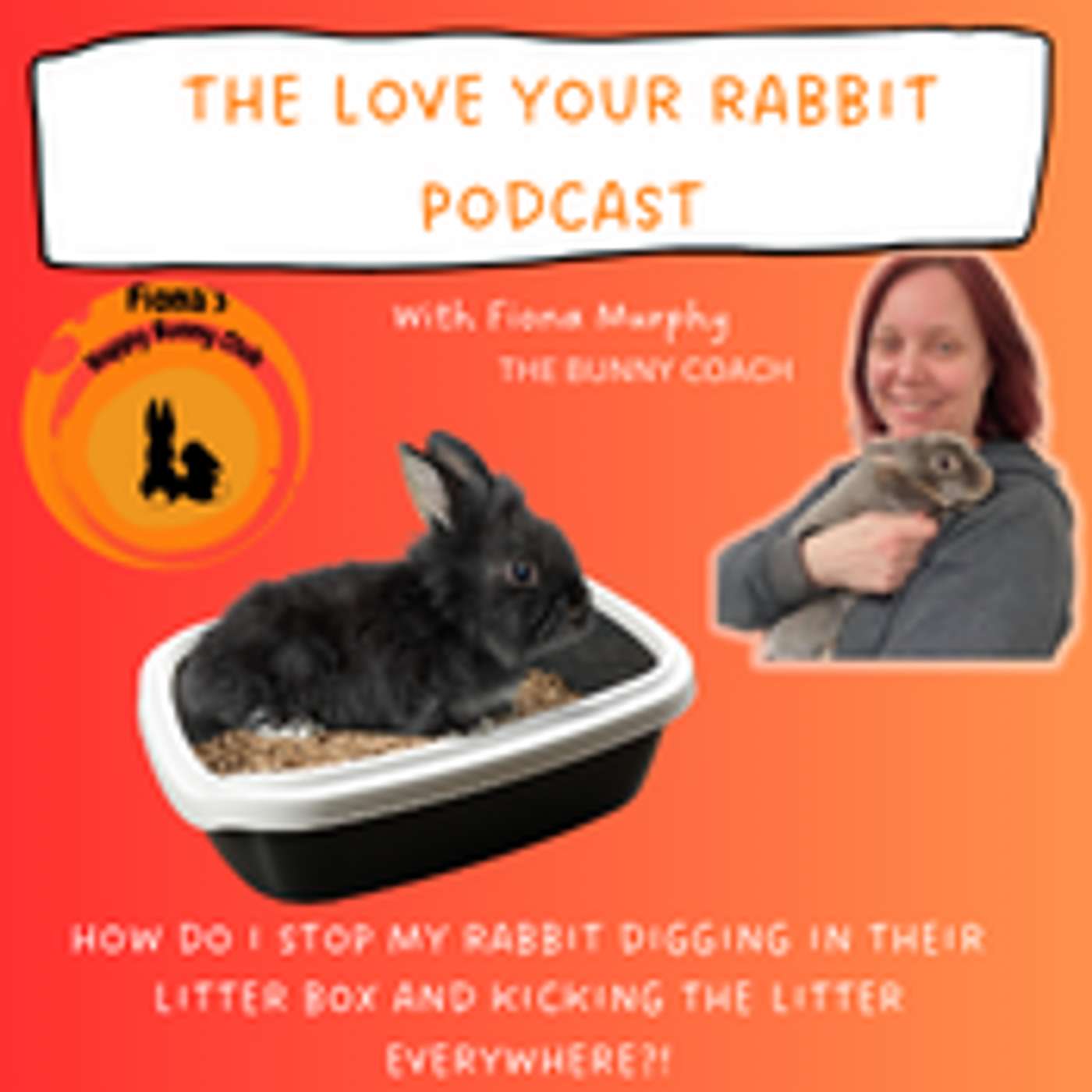 The Love Your Rabbit Podcast with Fiona Murphy, The Bunny Coach