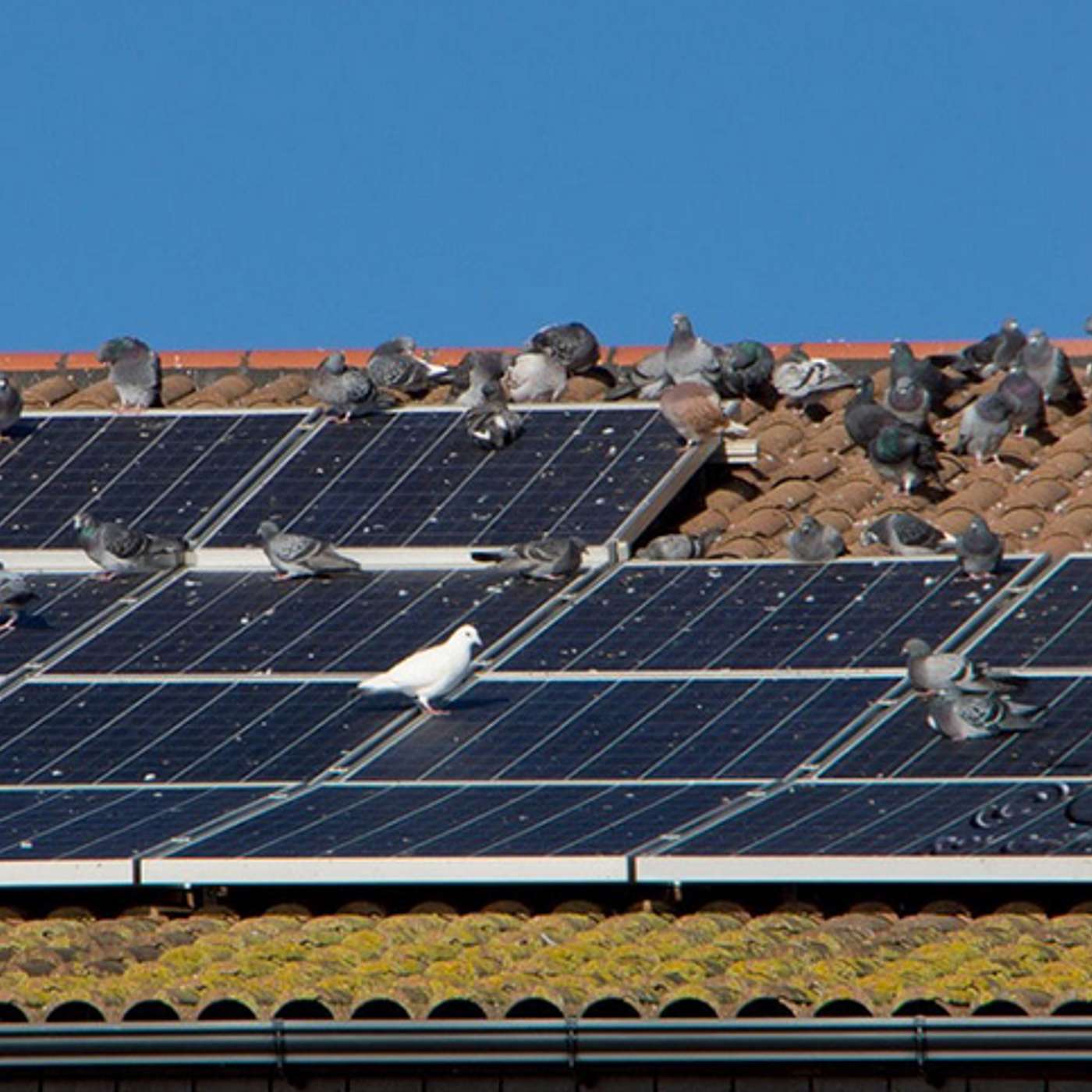 Air-to-Surface Attacks: My Natural No-Soliciting System