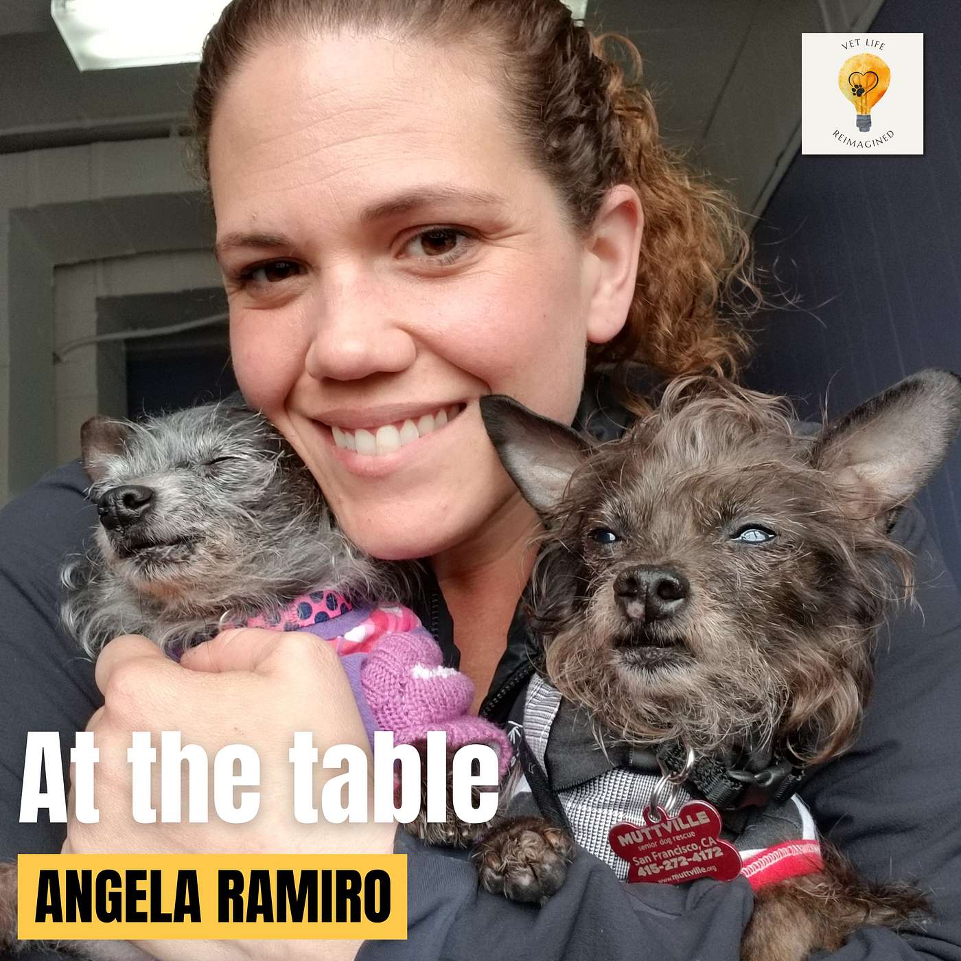 Vet Tech Gets A Seat At The Table for Senior Dogs: Angela Ramiro episode artwork