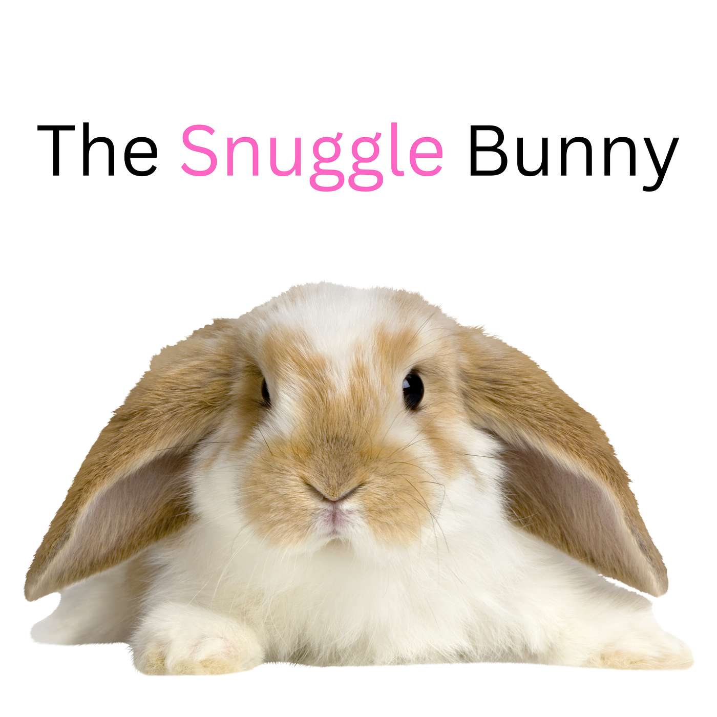 The Snuggle Bunny and a Little Perspective