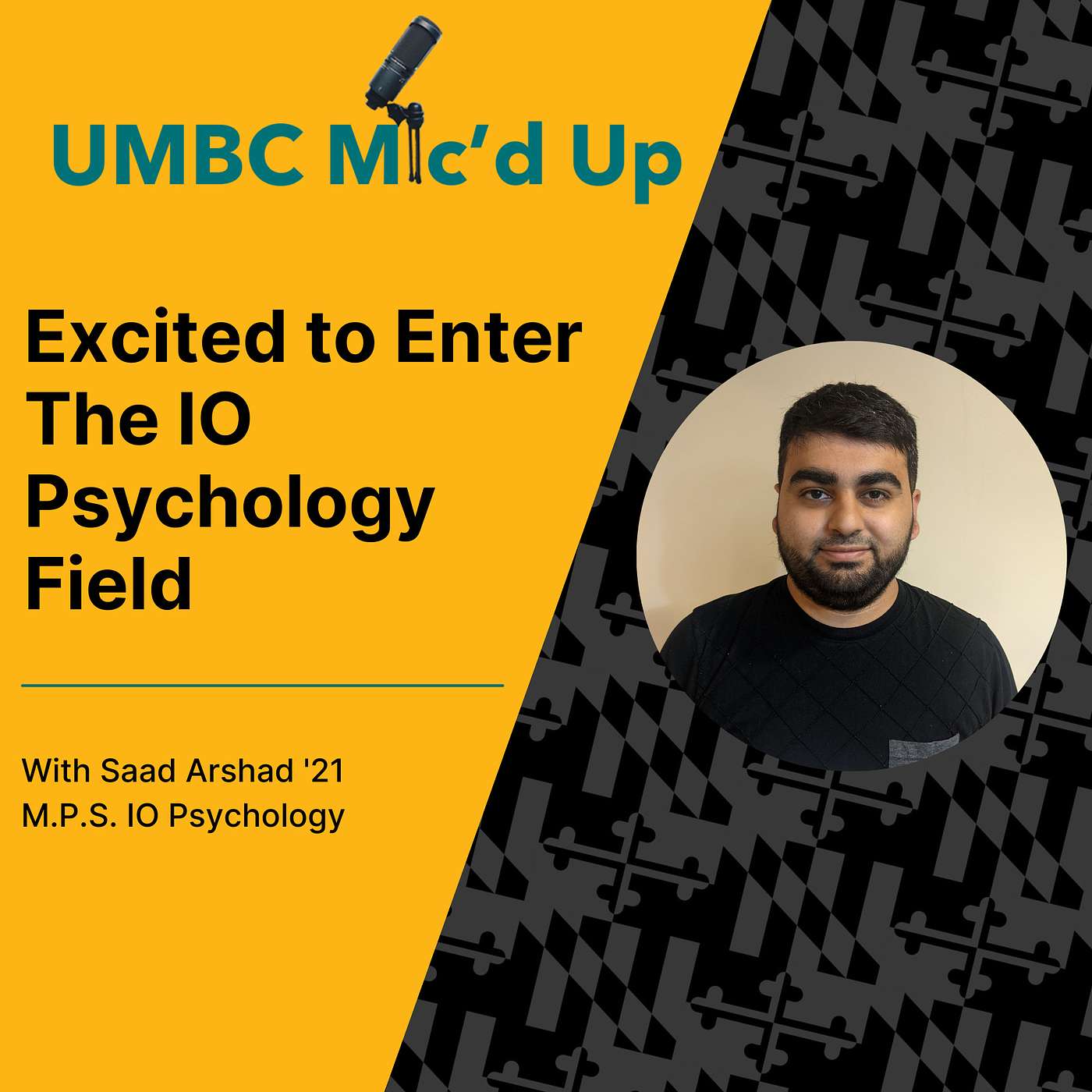 Excited to Enter the IO Psychology Field episode artwork