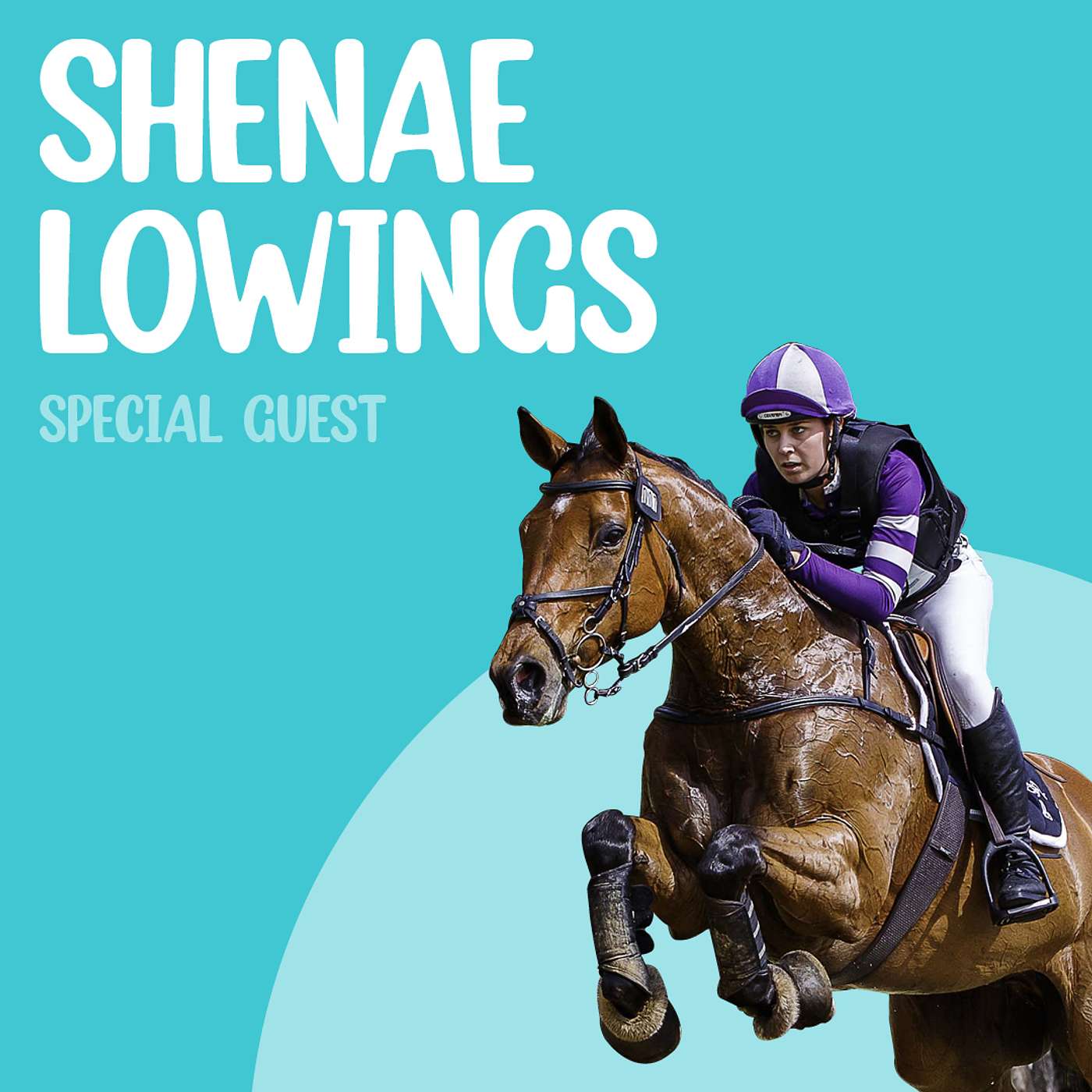 The Equestrian Experience