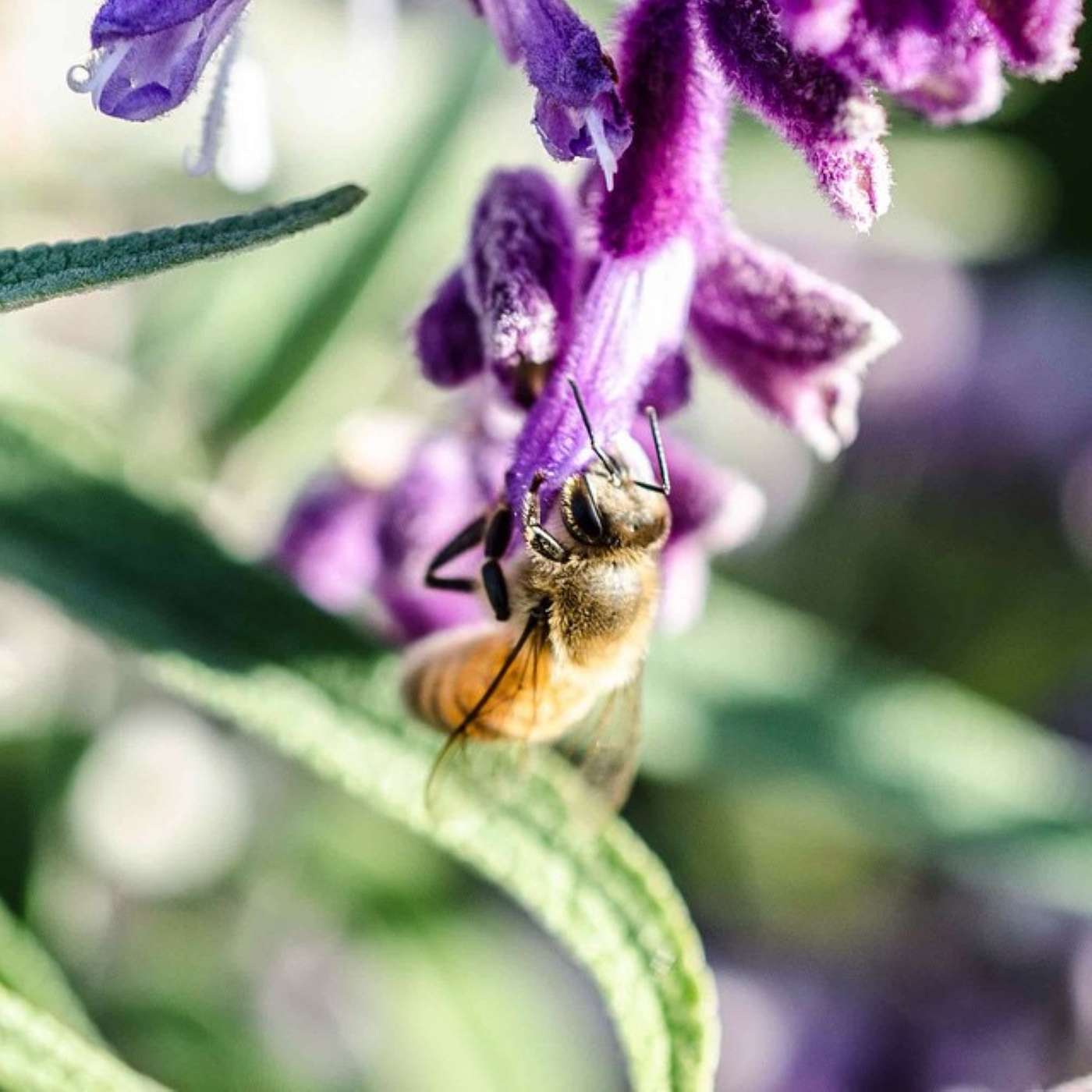 Overcoming Katie’s Limiting Money Beliefs.