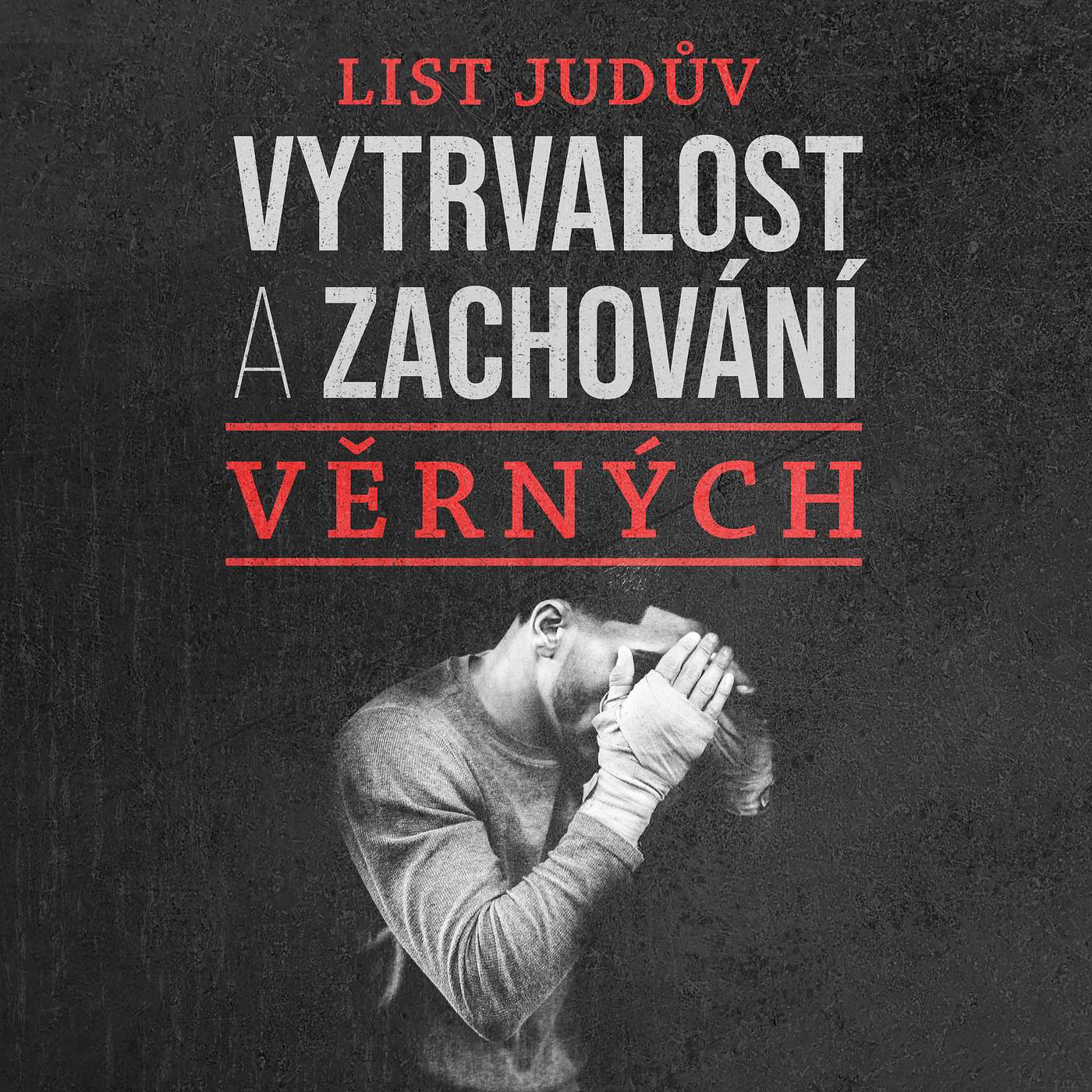Biblický sbor křesťanů - Plzeň