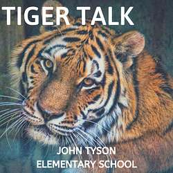 Tiger Talk Artwork