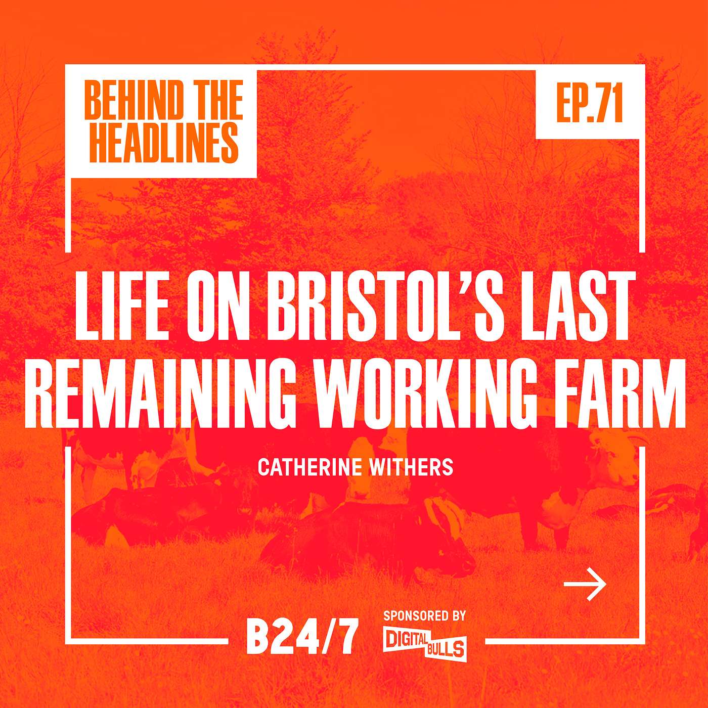 Bristol: Behind The Headlines