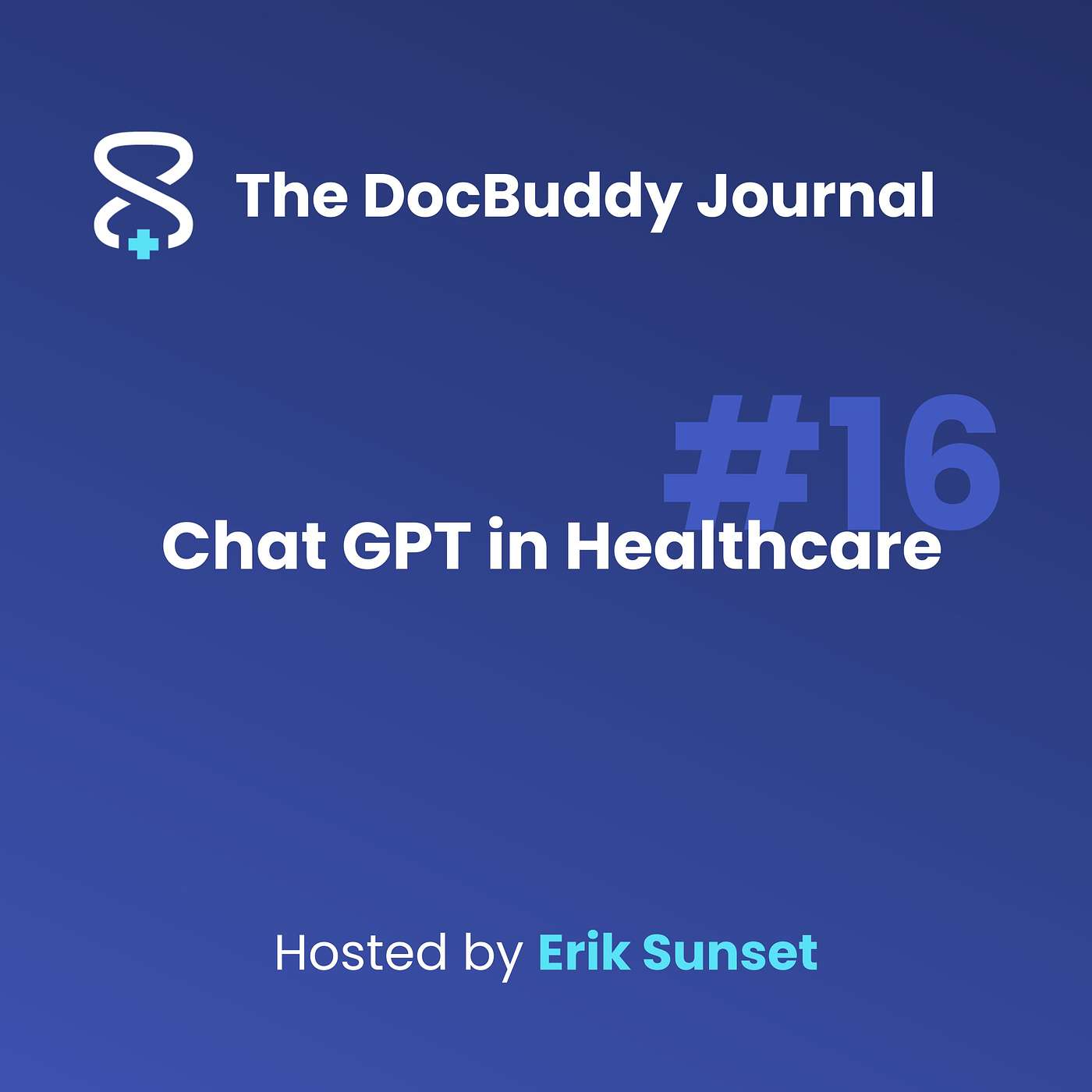 The DocBuddy Journal